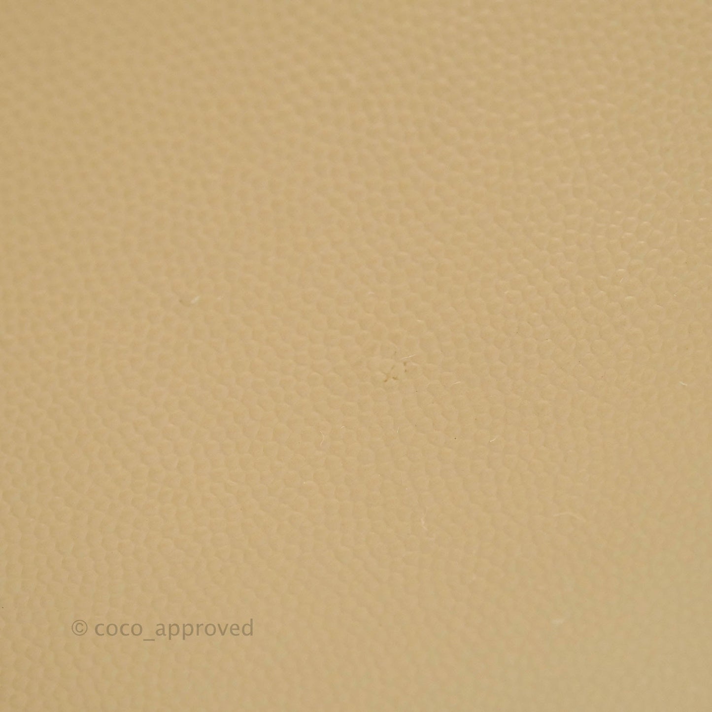 Saint Laurent Classic Beige Grained Leather Gold Hardware