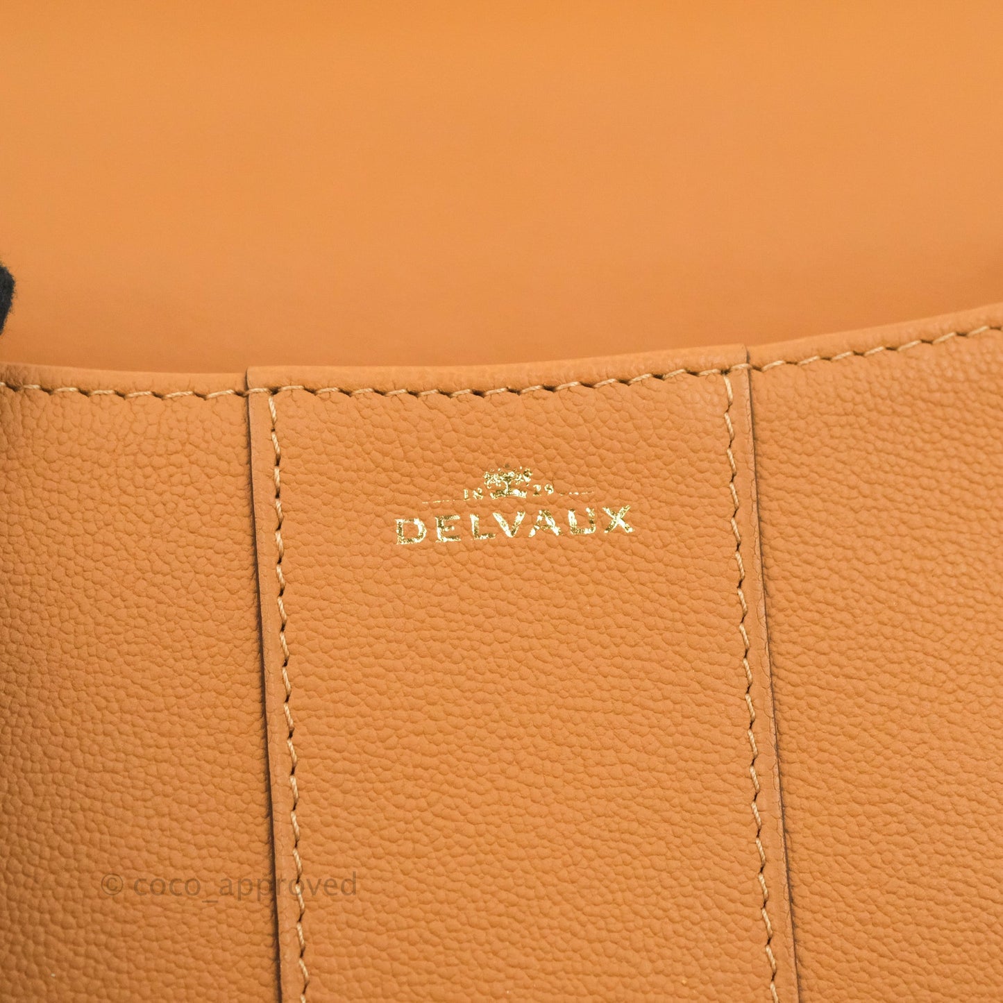 Delvaux Mini Brillant Bag Vegetal Rodeo Calf Gold Hardware