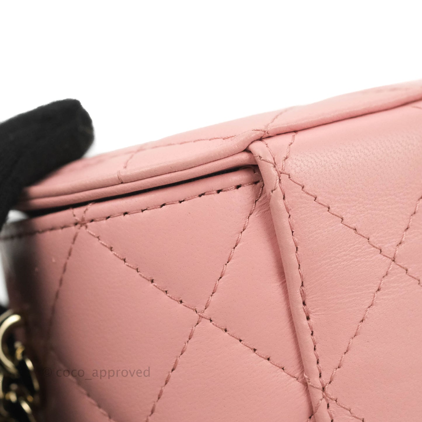 Chanel Quilted Small Resin Elegant Chain Vanity Case Lambskin Pink Gold Hardware