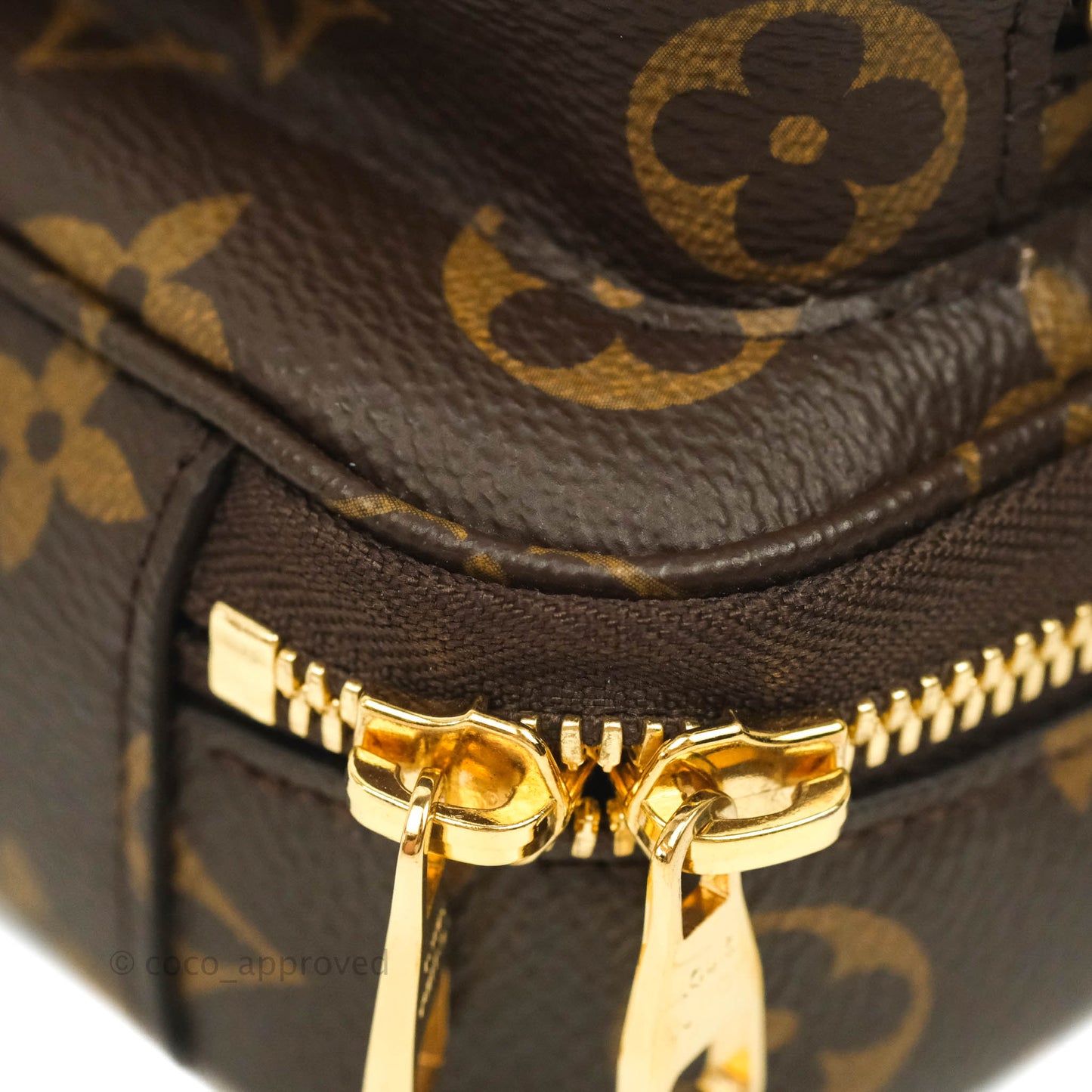 Louis Vuitton Monogram Canvas Utility Crossbody Bag
