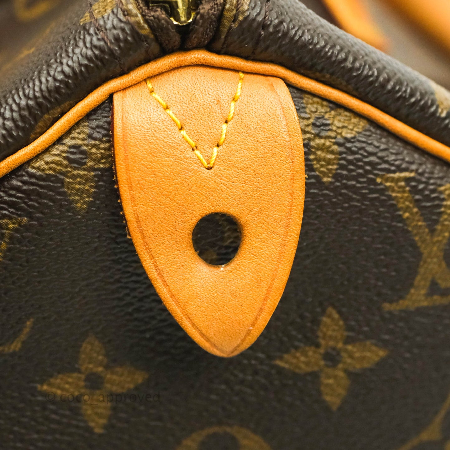 Louis Vuitton Speedy 30 Monogram Canvas
