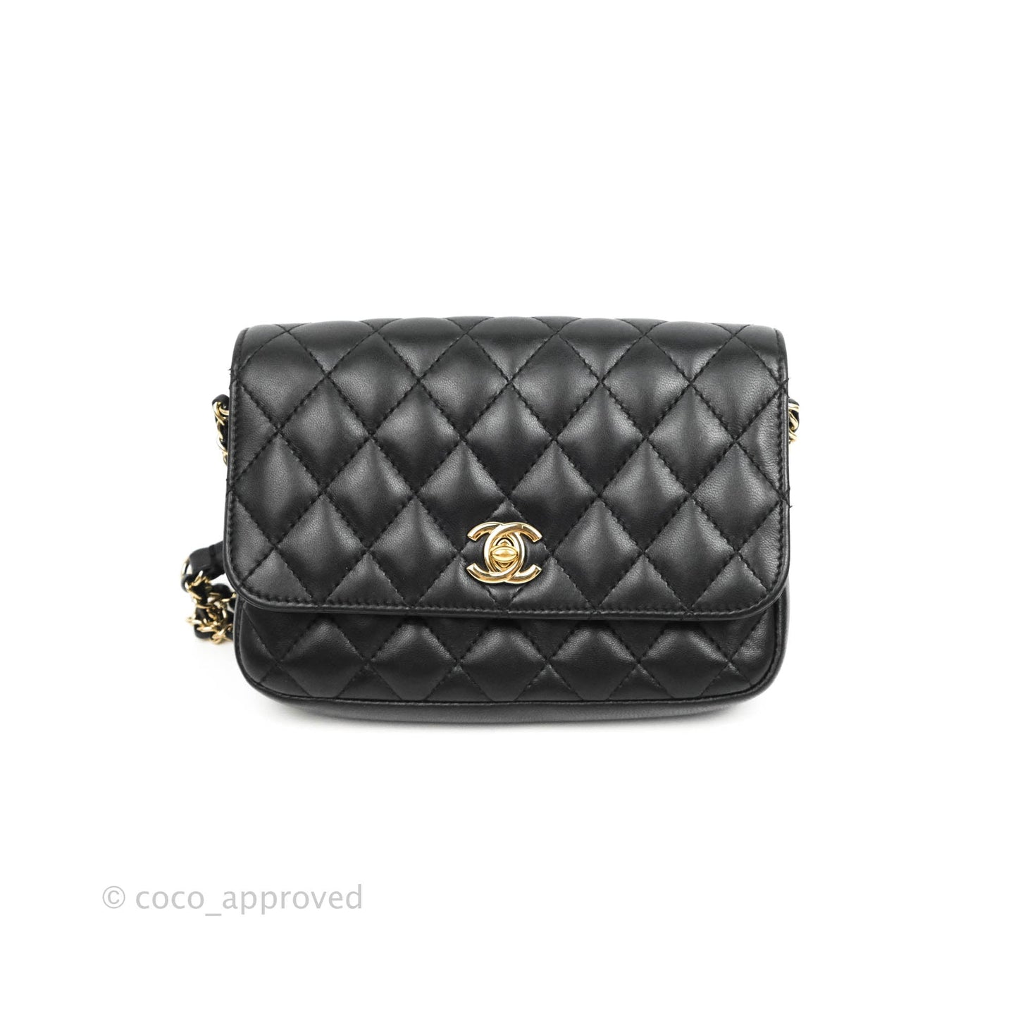 Chanel Classic Twin Flap Bag Side Pack Black Lambskin Gold Hardware