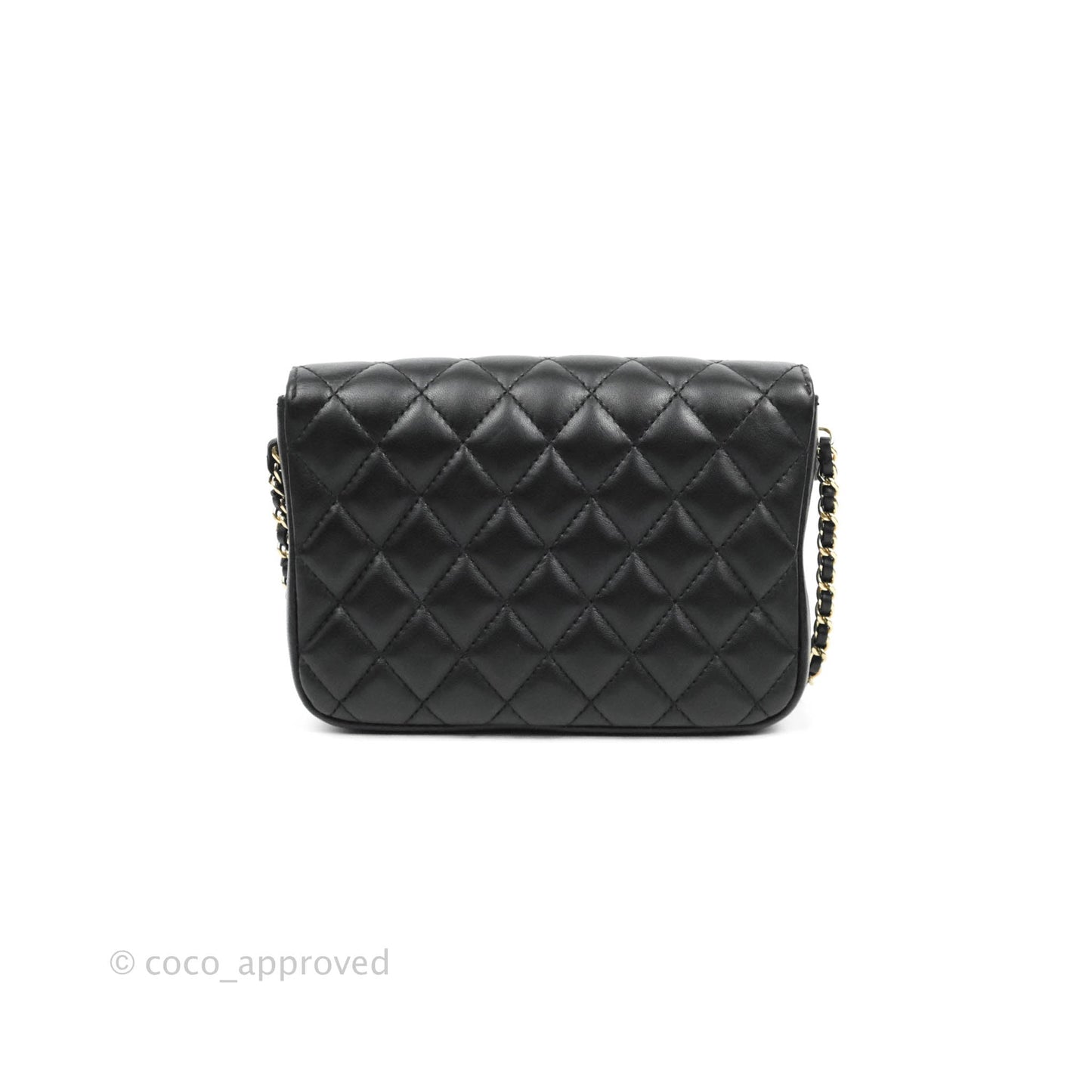 Chanel Classic Twin Flap Bag Side Pack Black Lambskin Gold Hardware