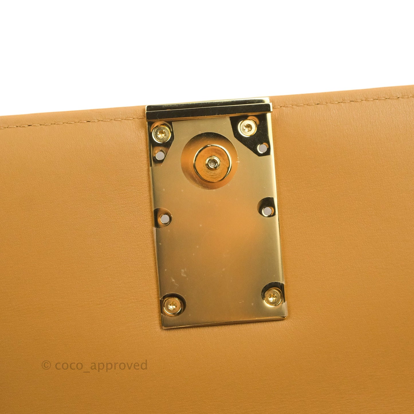 Loewe Small Goya Bag Warm Desert Silk Calfskin