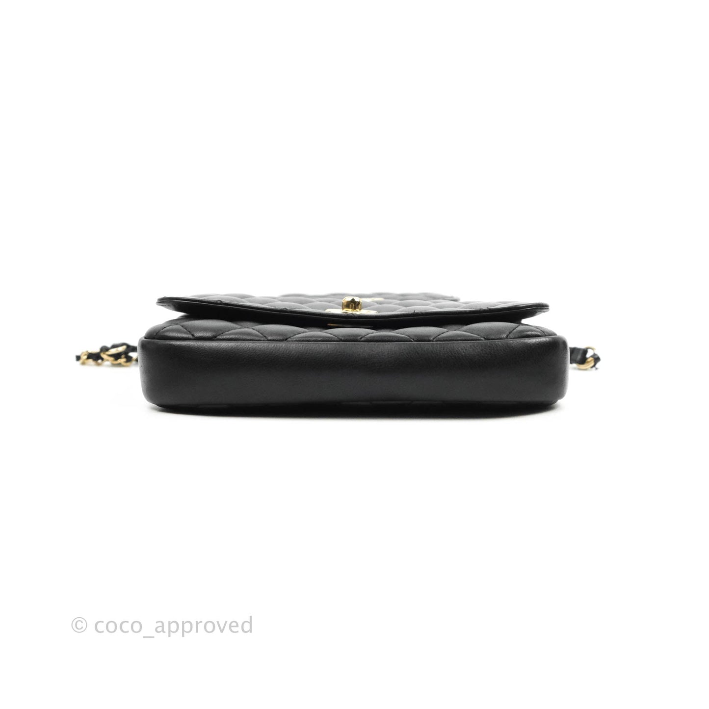 Chanel Classic Twin Flap Bag Side Pack Black Lambskin Gold Hardware