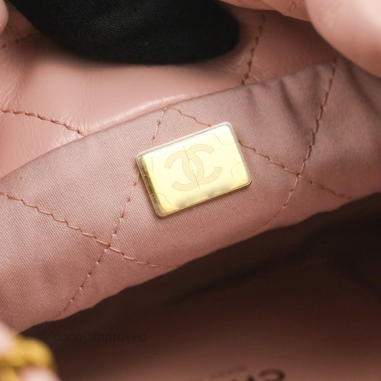 Chanel 22 Mini Bag Pink Shiny Crumpled Calfskin