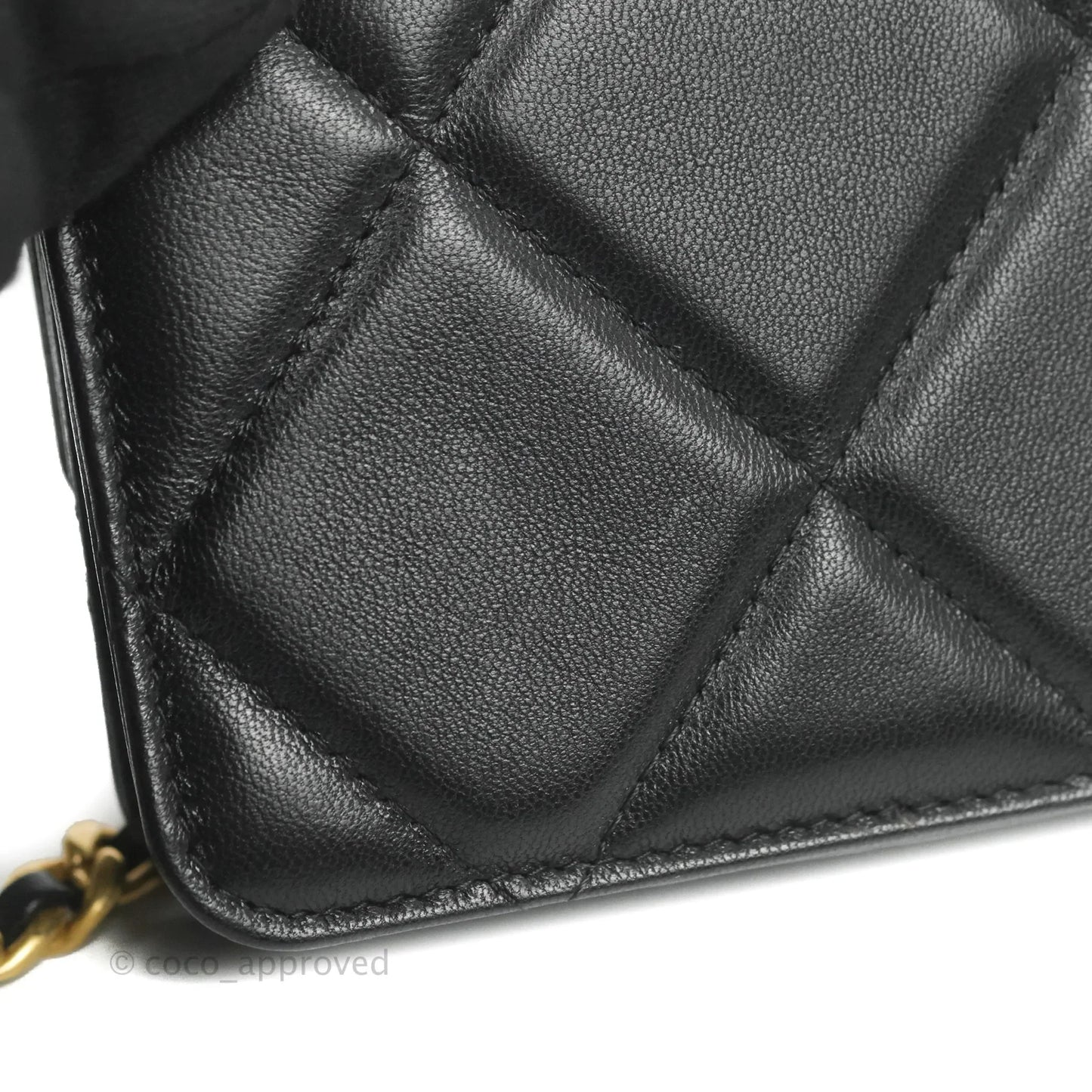 Chanel 19 Card Holder With Chain Black Mixed Hardware