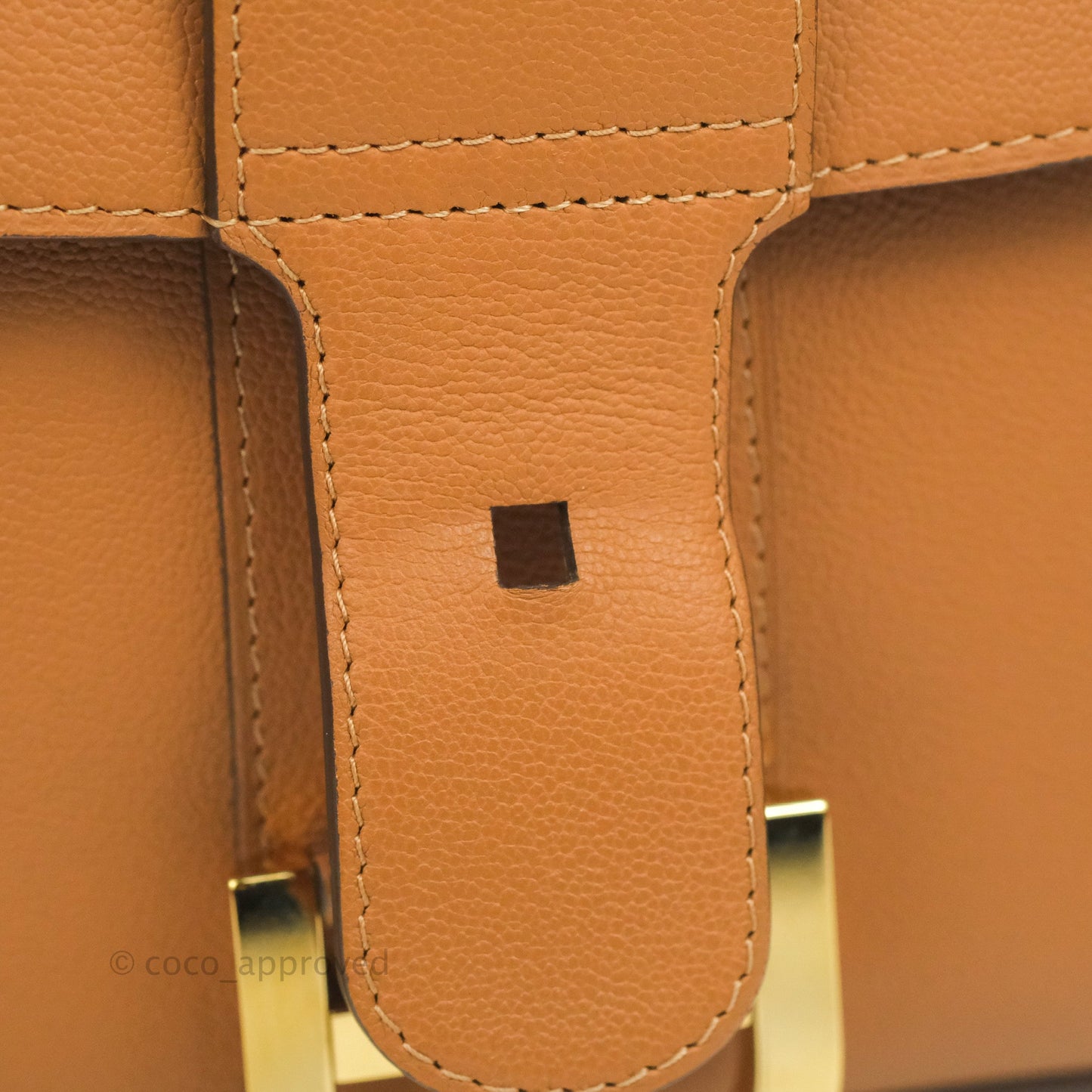 Delvaux Mini Brillant Bag Vegetal Rodeo Calf Gold Hardware
