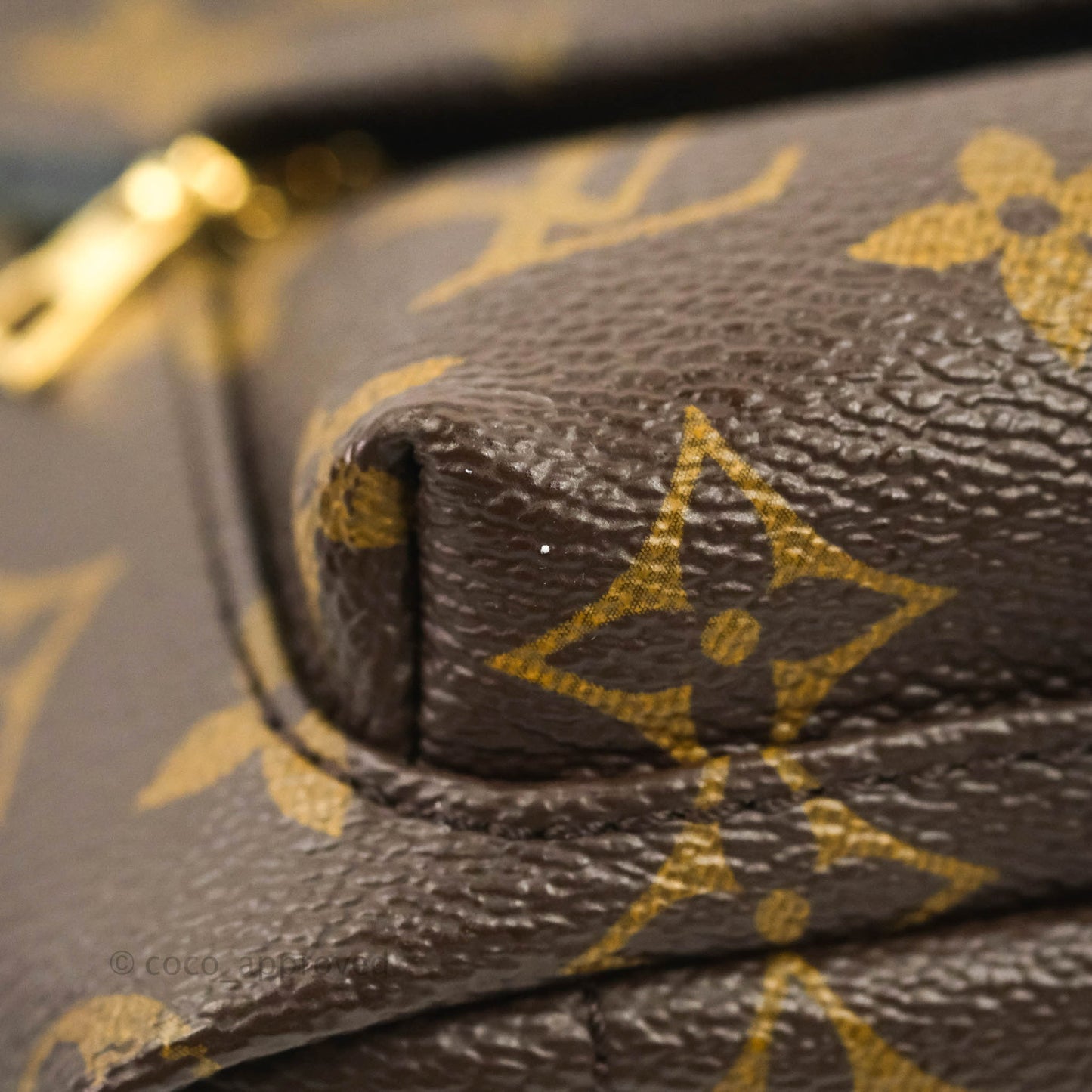 Louis Vuitton Monogram Mini Palm Springs Backpack⁣