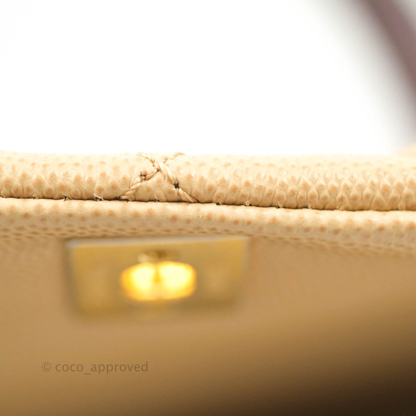 Chanel Small Coco Handle Quilted Beige Caviar Gold Hardware Lizard Embossed Handle