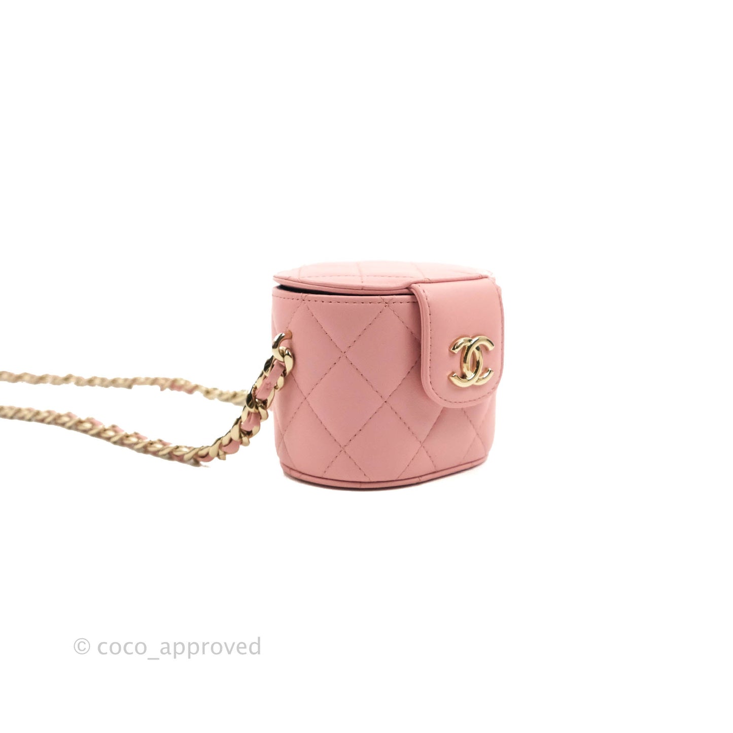 Chanel Quilted Small Resin Elegant Chain Vanity Case Lambskin Pink Gold Hardware