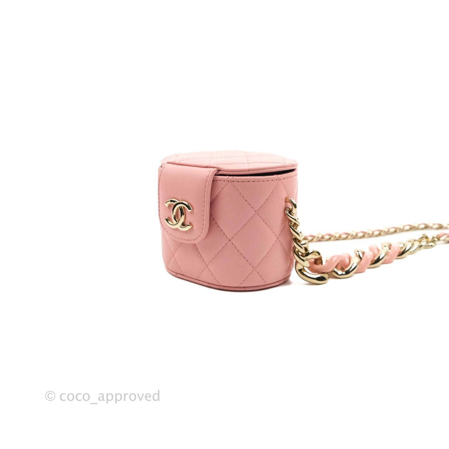 Chanel Quilted Small Resin Elegant Chain Vanity Case Lambskin Pink Gold Hardware