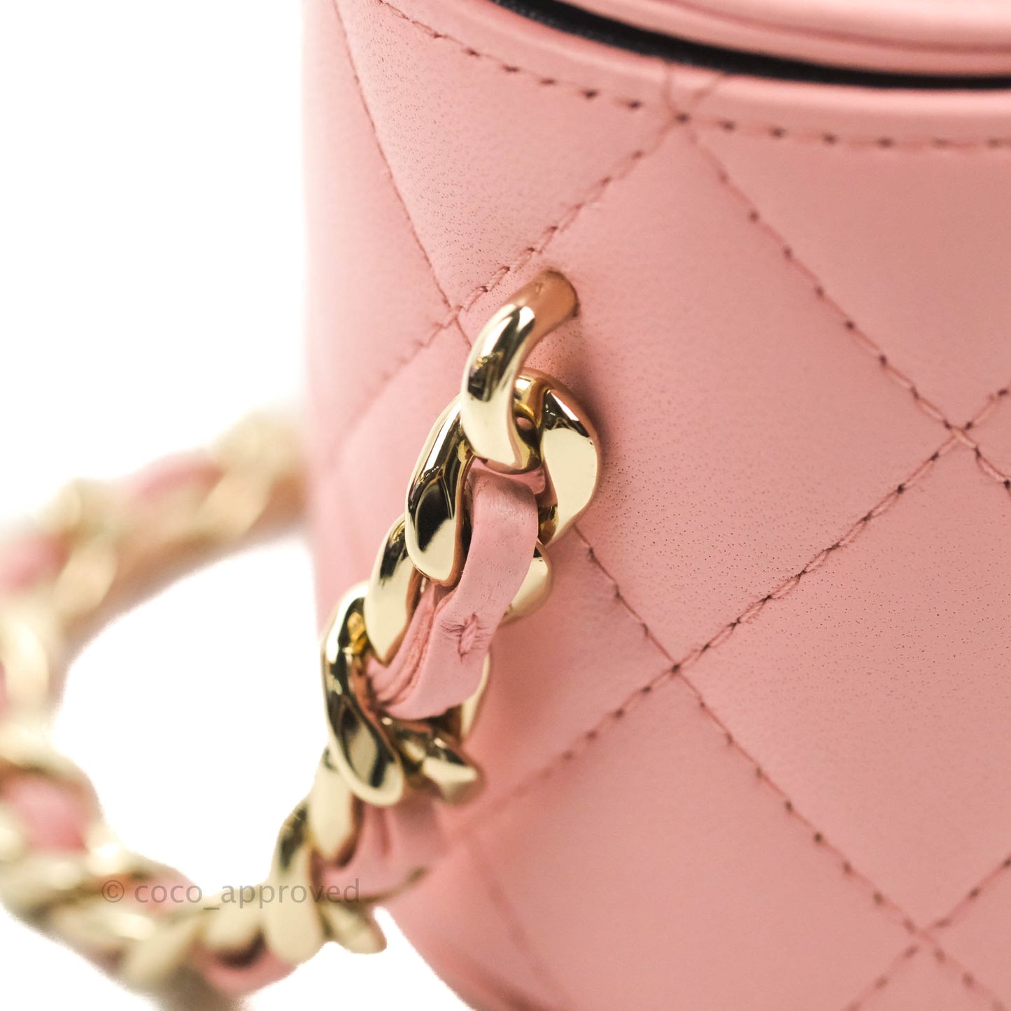 Chanel Quilted Small Resin Elegant Chain Vanity Case Lambskin Pink Gold Hardware