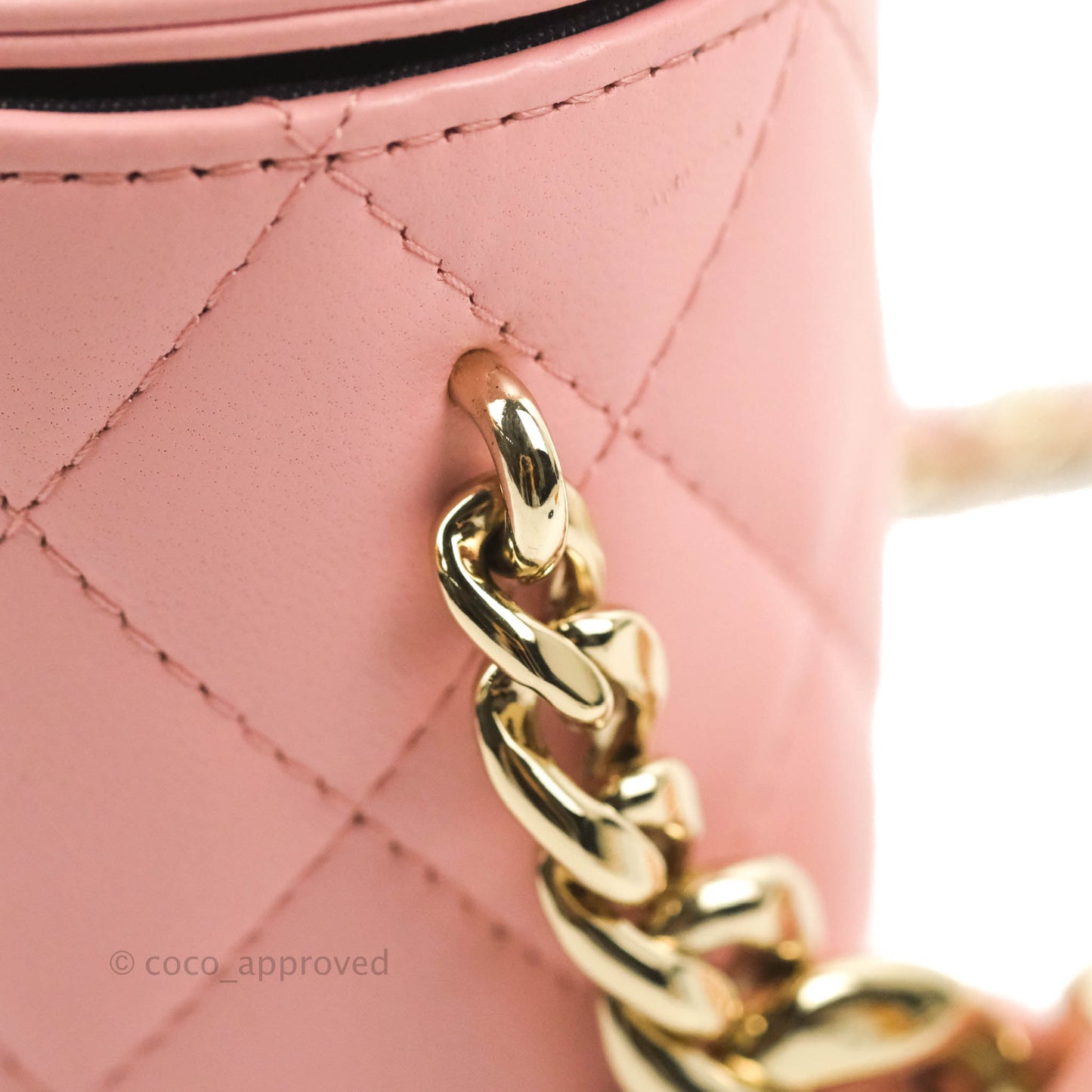 Chanel Quilted Small Resin Elegant Chain Vanity Case Lambskin Pink Gold Hardware