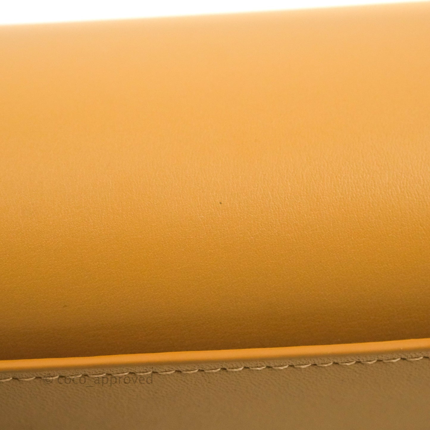 Loewe Small Goya Bag Warm Desert Silk Calfskin