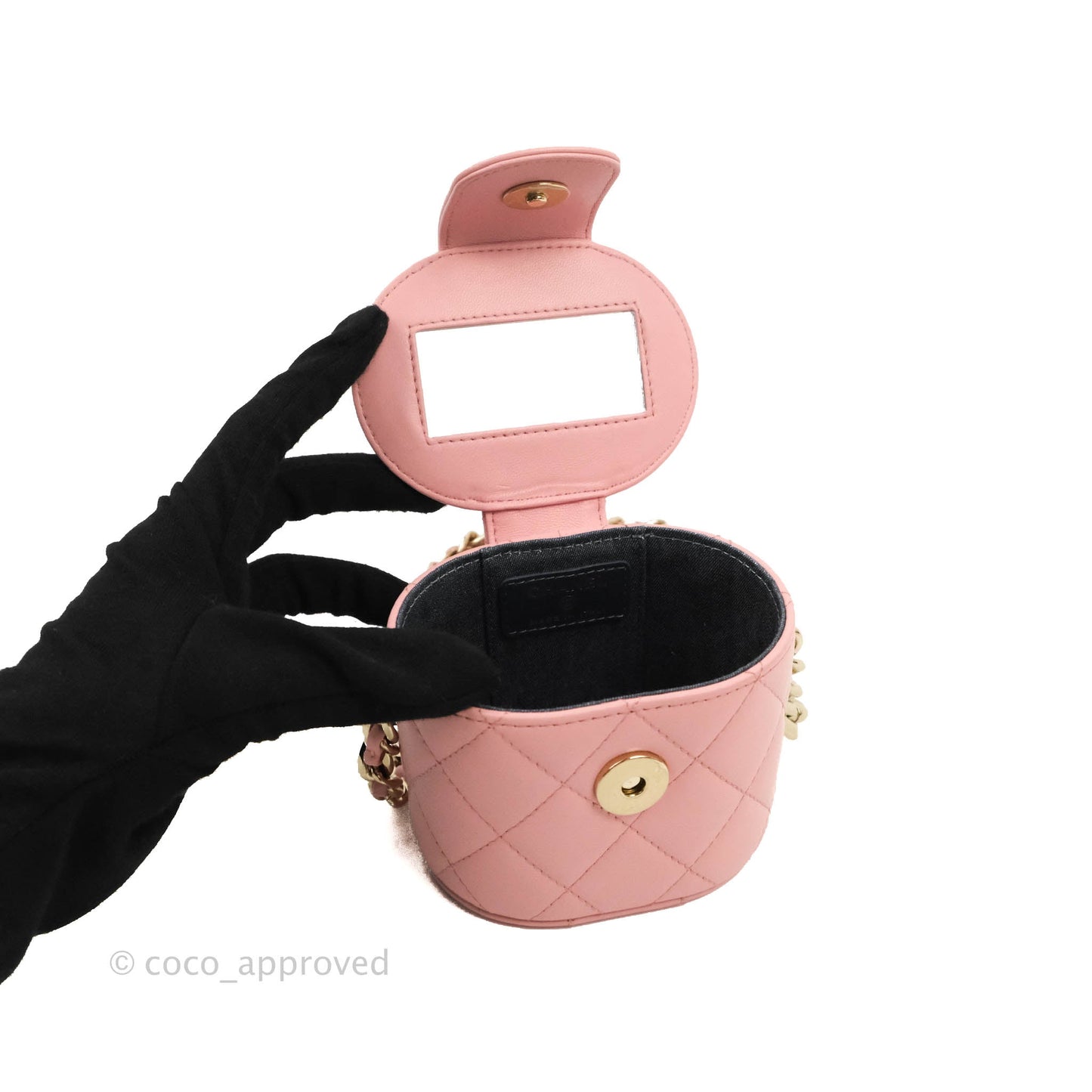 Chanel Quilted Small Resin Elegant Chain Vanity Case Lambskin Pink Gold Hardware