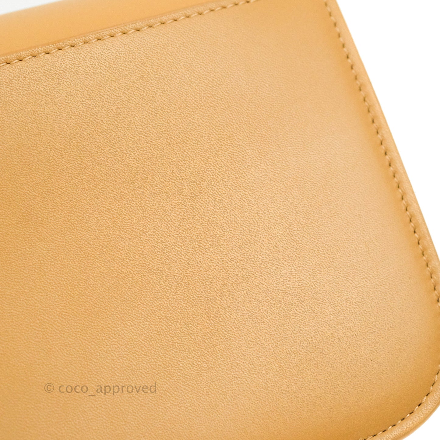 Loewe Small Goya Bag Warm Desert Silk Calfskin