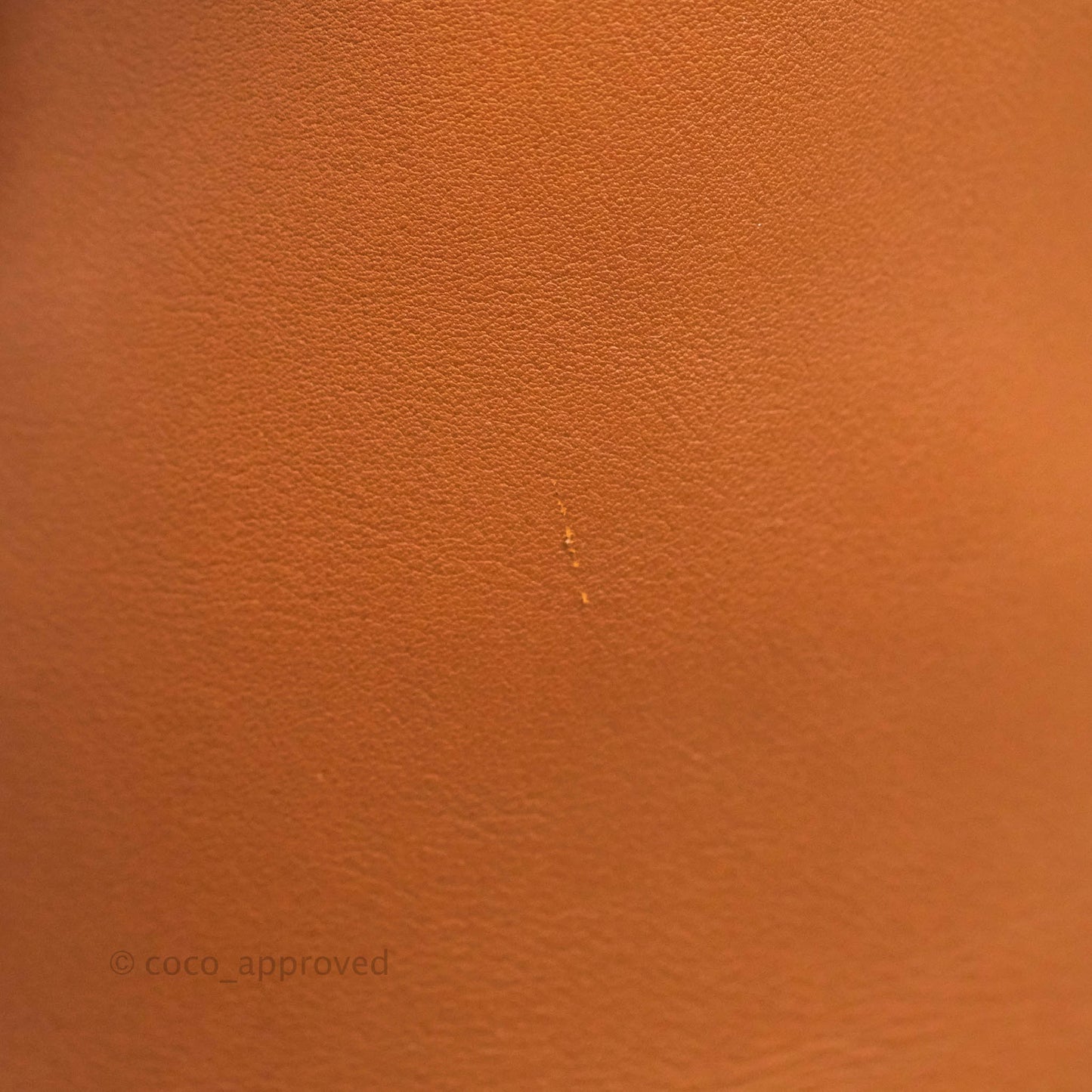 Celine Long Strap Big Bag Brown Bucket Calfskin