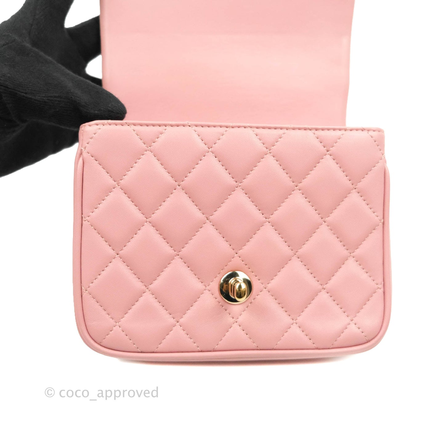 Chanel Citizen Chic Mini Flap Bag Pink Lambskin Gold Hardware