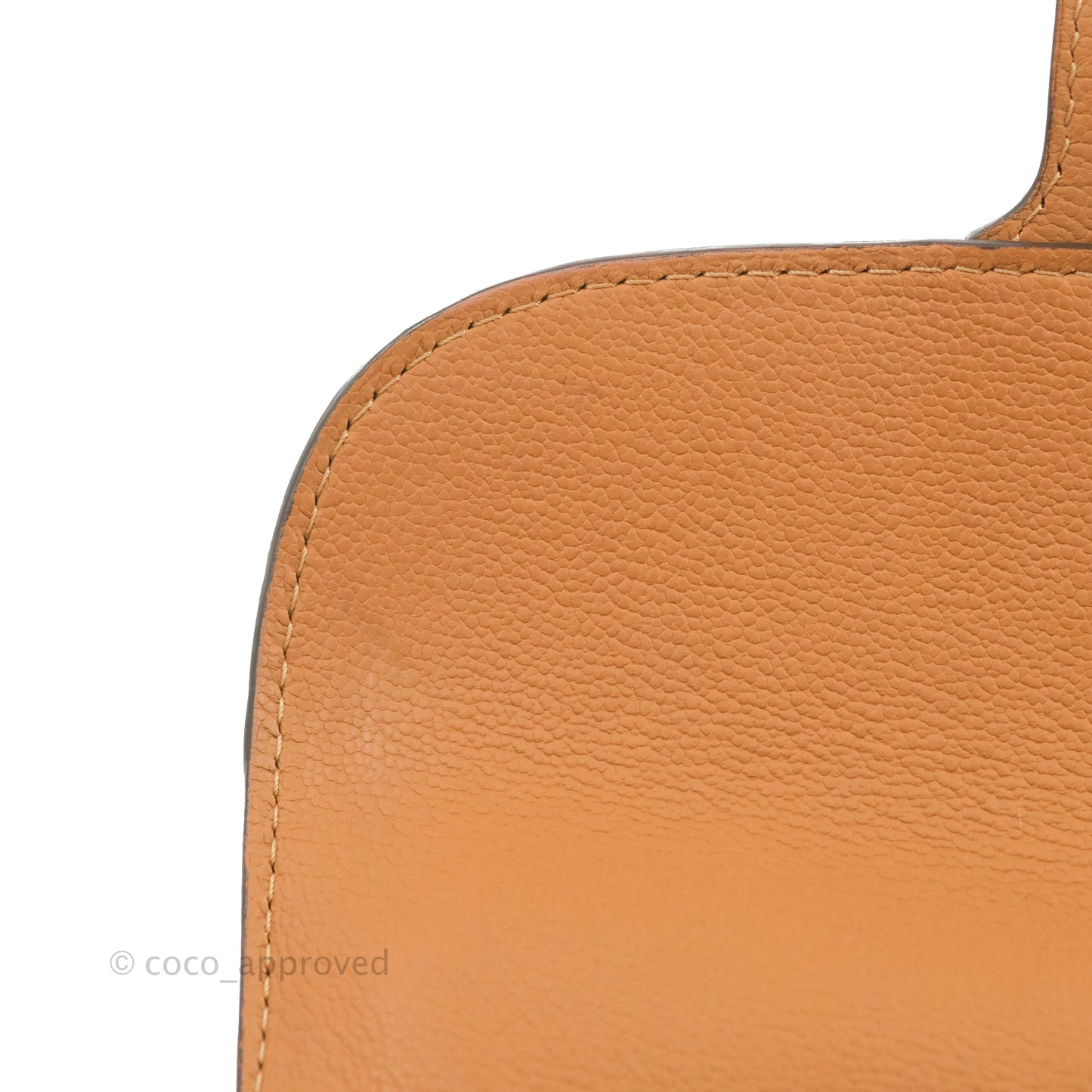 Delvaux Mini Brillant Bag Vegetal Rodeo Calf Gold Hardware