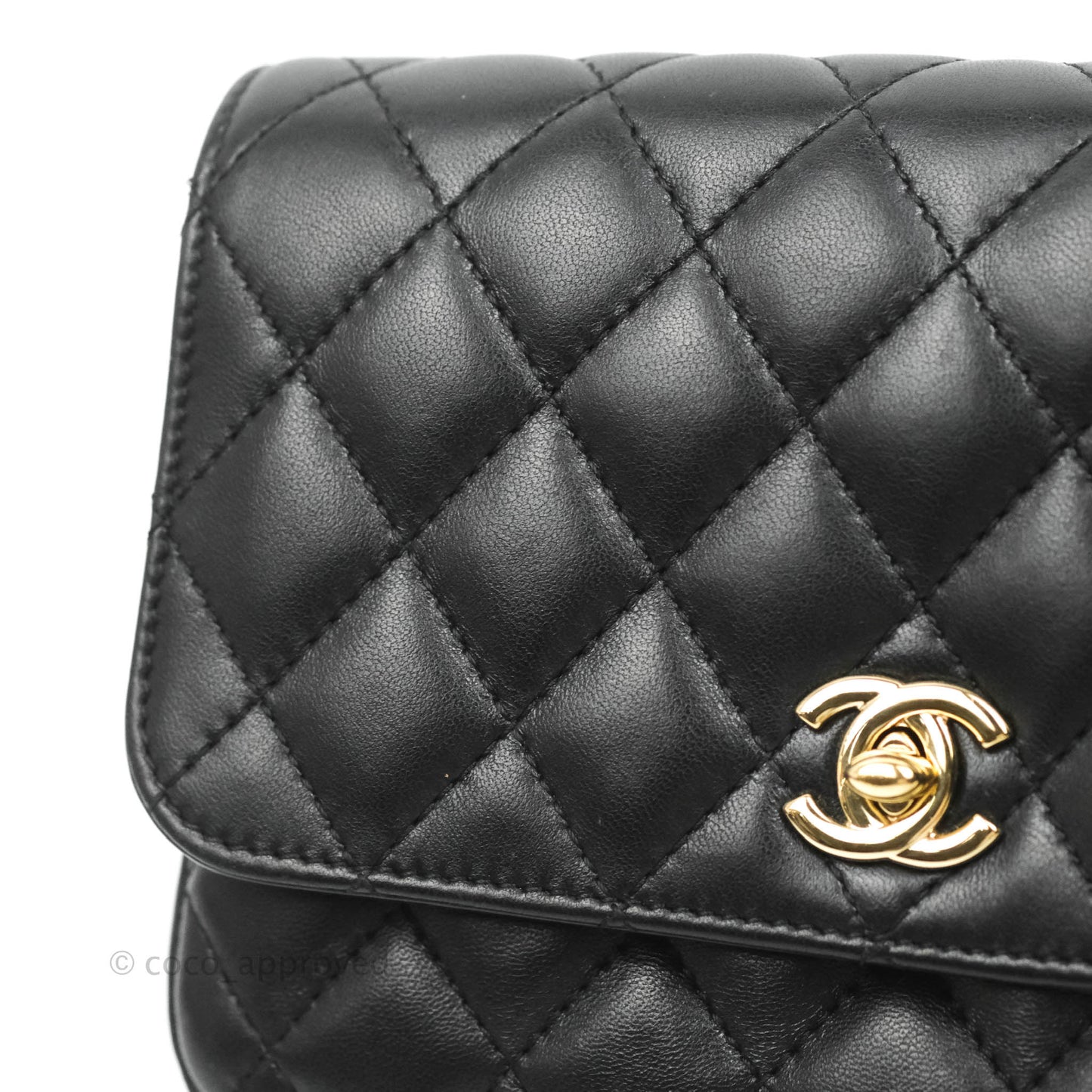 Chanel Classic Twin Flap Bag Side Pack Black Lambskin Gold Hardware