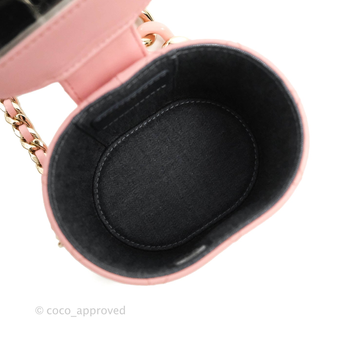 Chanel Quilted Small Resin Elegant Chain Vanity Case Lambskin Pink Gold Hardware