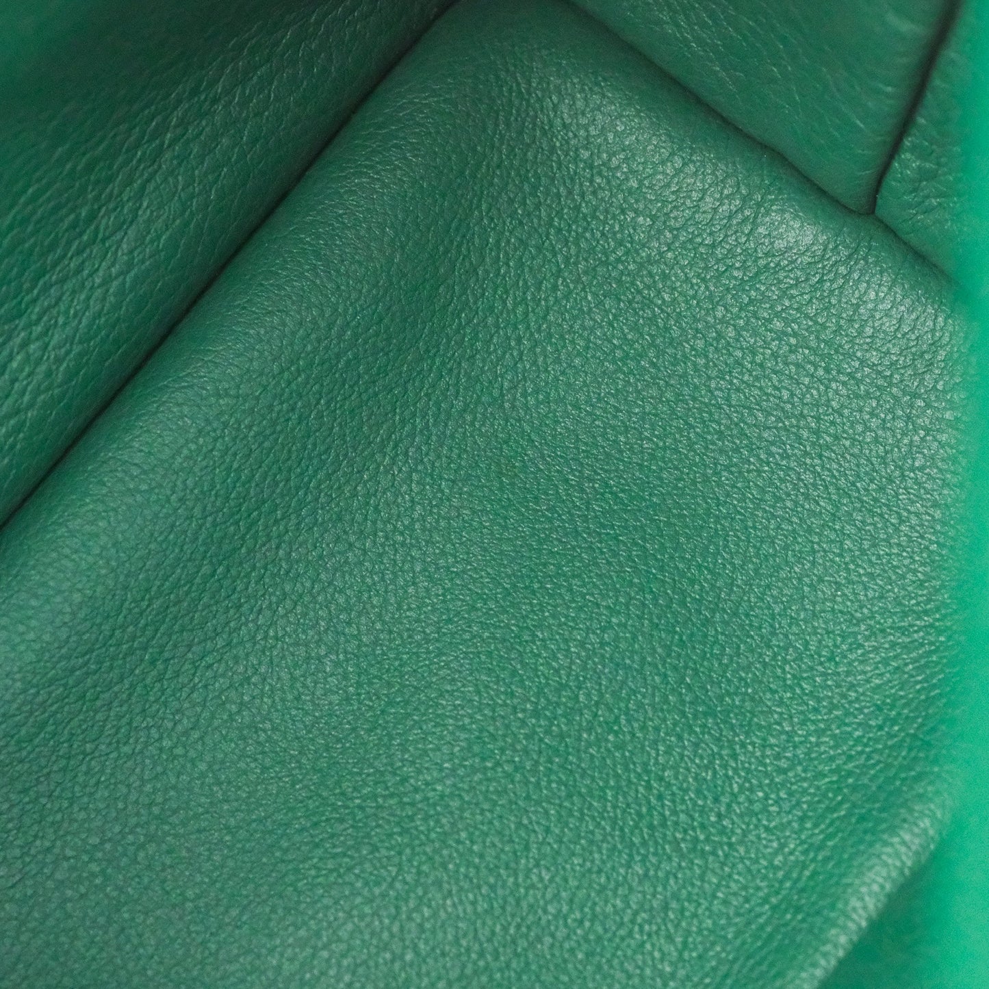 Goyard Anjou Mini Bag Goyardine Canvas Green