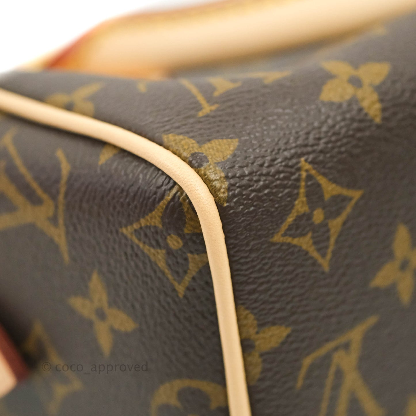 Louis Vuitton Speedy Bandoulière 20 Monogram