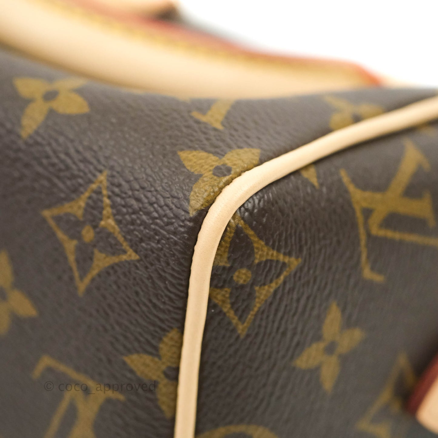 Louis Vuitton Speedy Bandoulière 20 Monogram