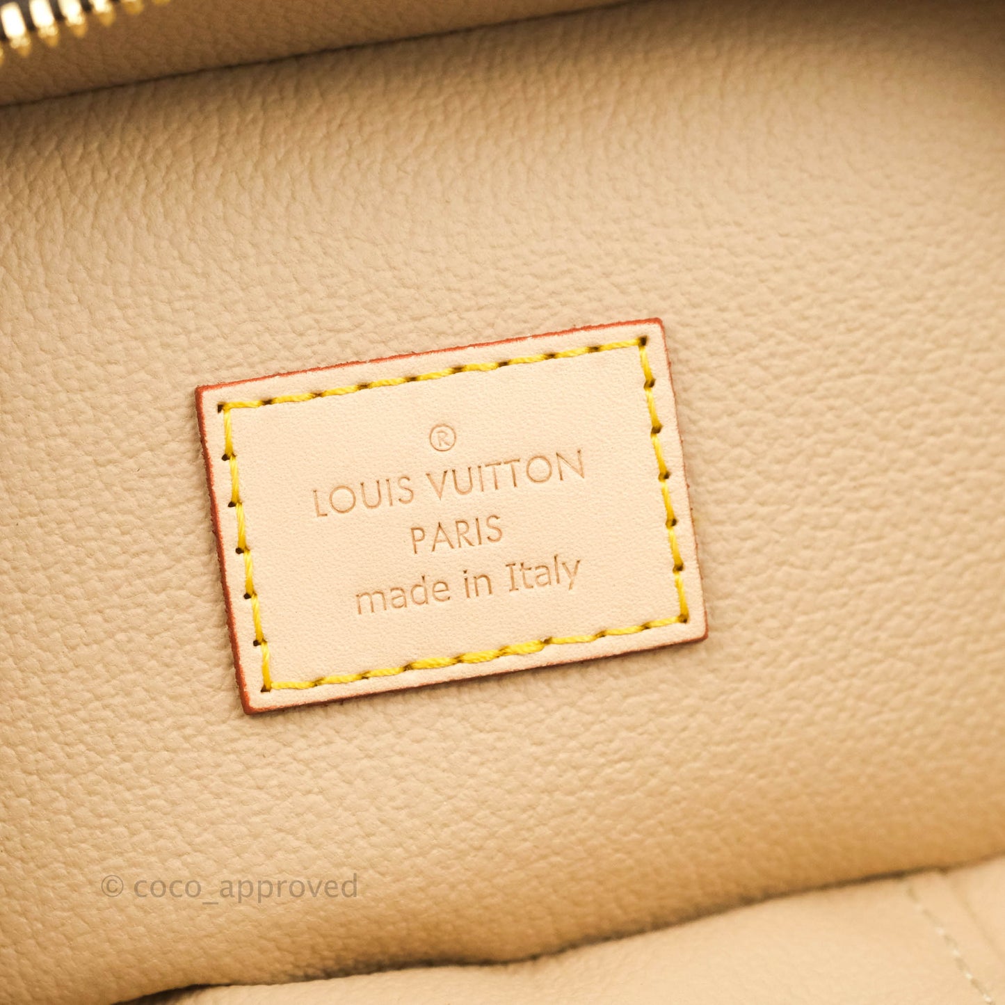Louis Vuitton Monogram Nice Nano