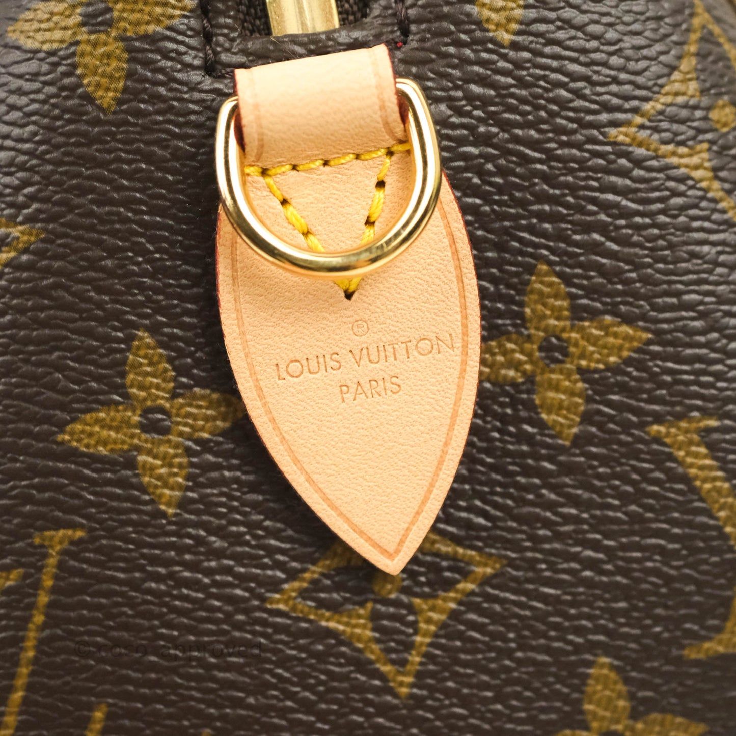 Louis Vuitton Speedy Bandoulière 20 Monogram