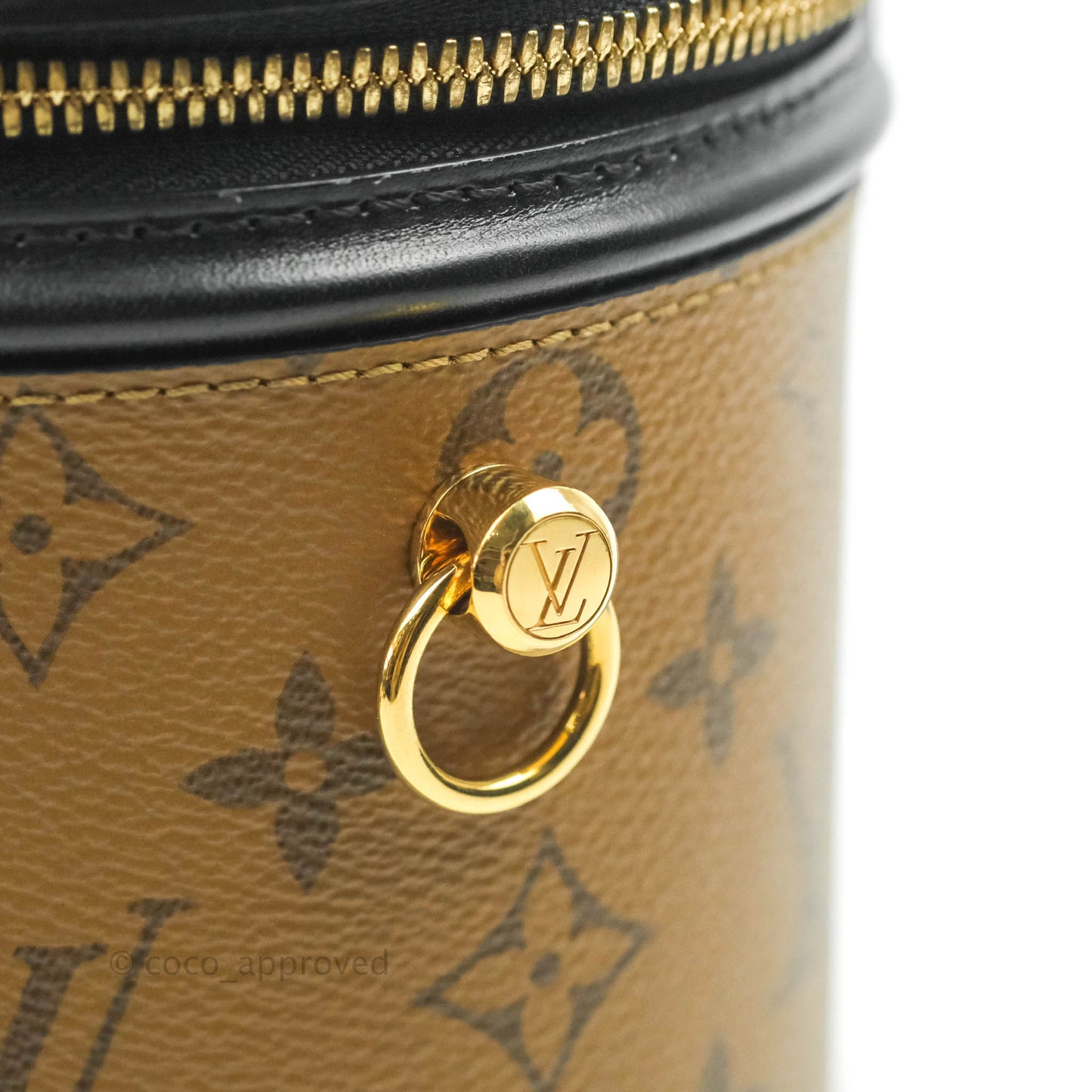 Louis Vuitton Monogram Canvas Reverse Cannes Bag