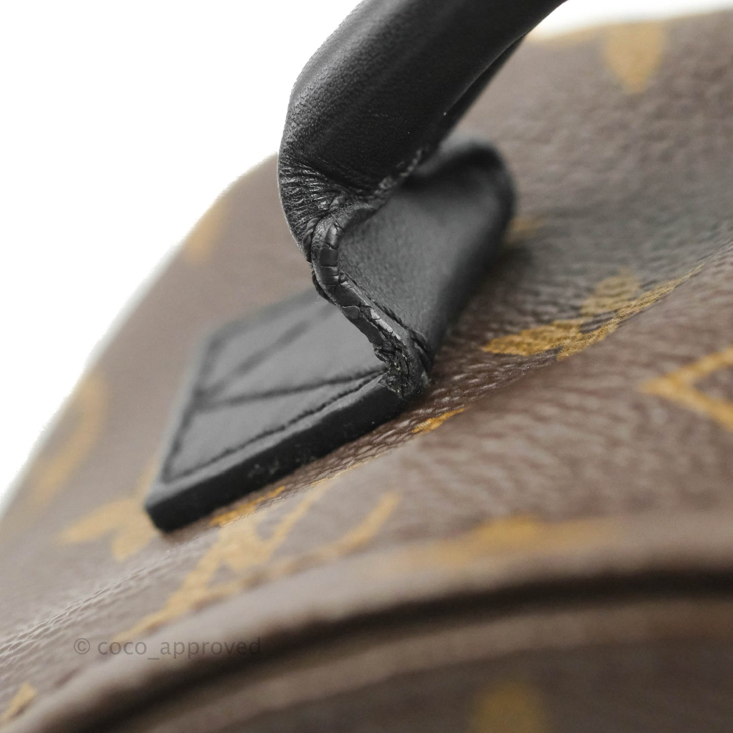 Louis Vuitton Monogram Mini Palm Springs Backpack⁣