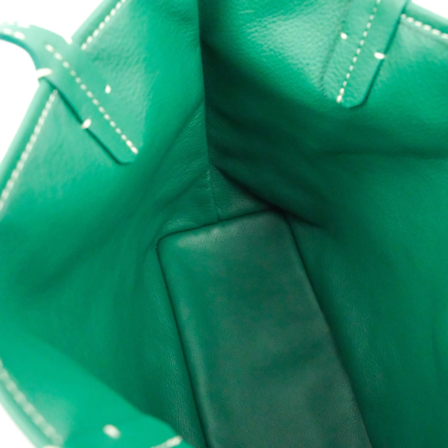 Goyard Anjou Mini Bag Goyardine Canvas Green