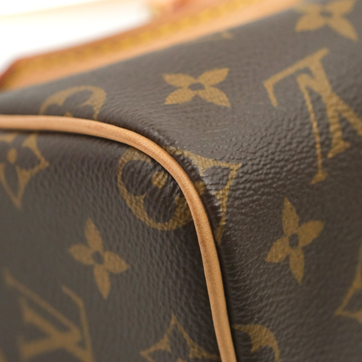 Louis Vuitton Nano Speedy Monogram