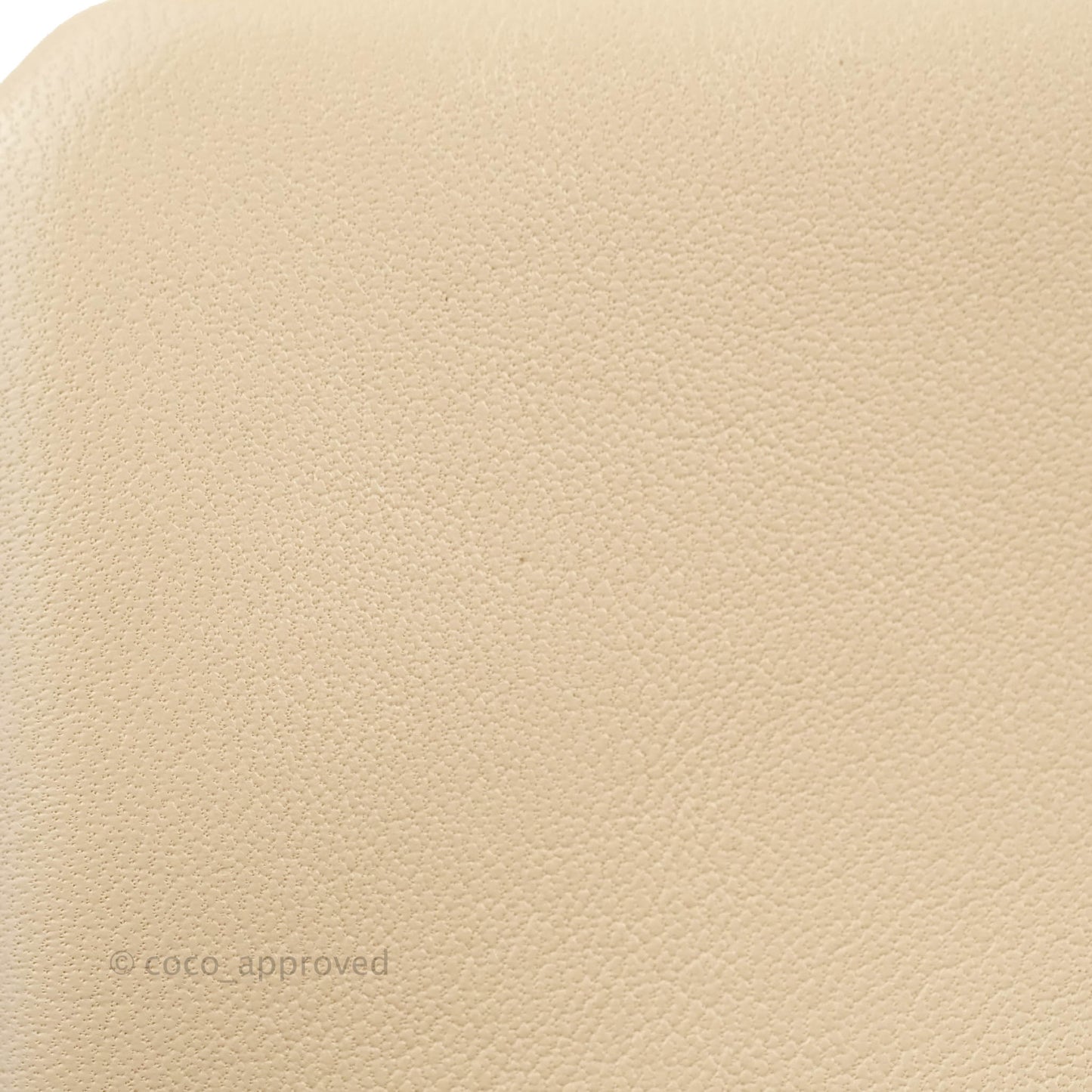 Chanel 19 Small Light Beige Mixed Hardware 20S