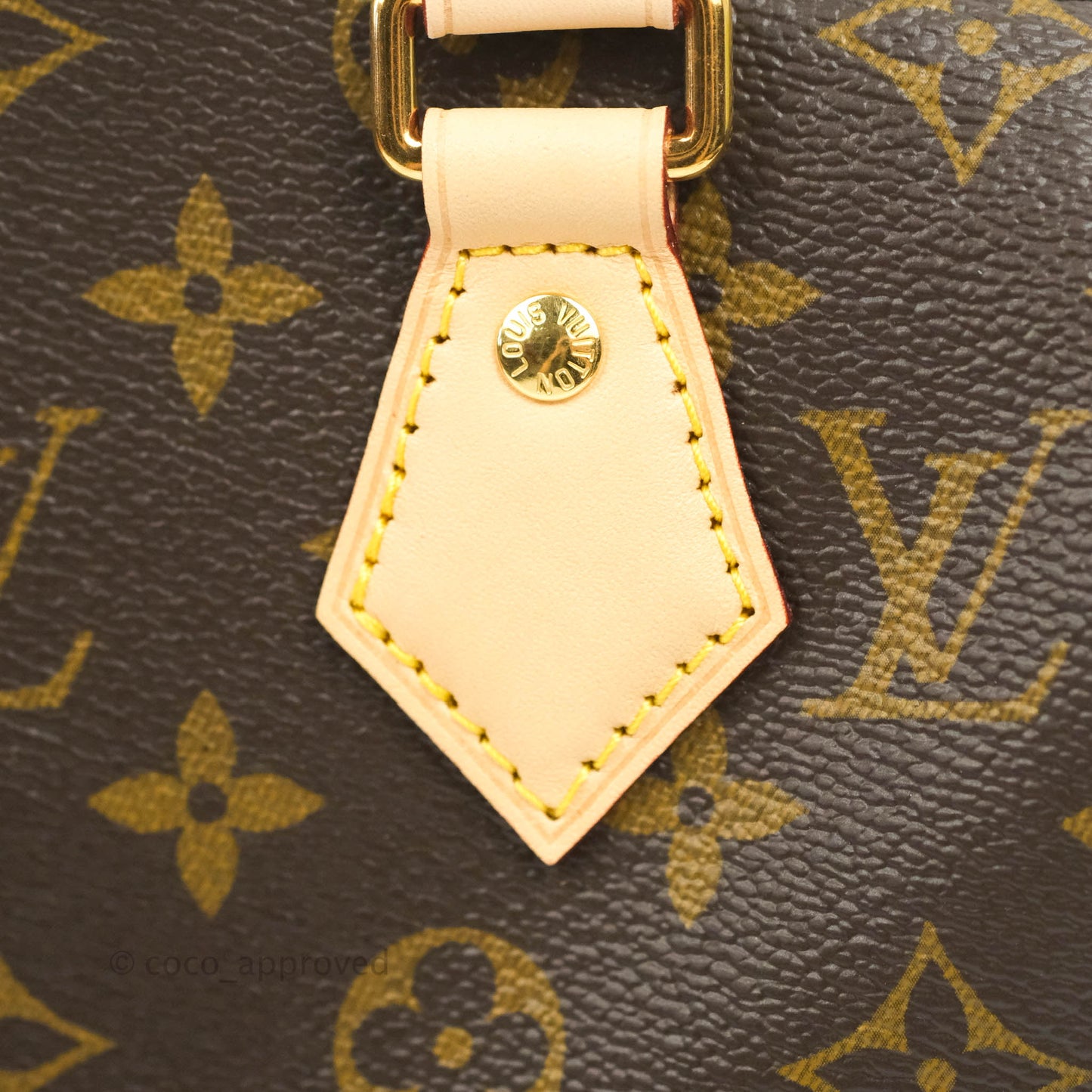Louis Vuitton Speedy Bandoulière 20 Monogram