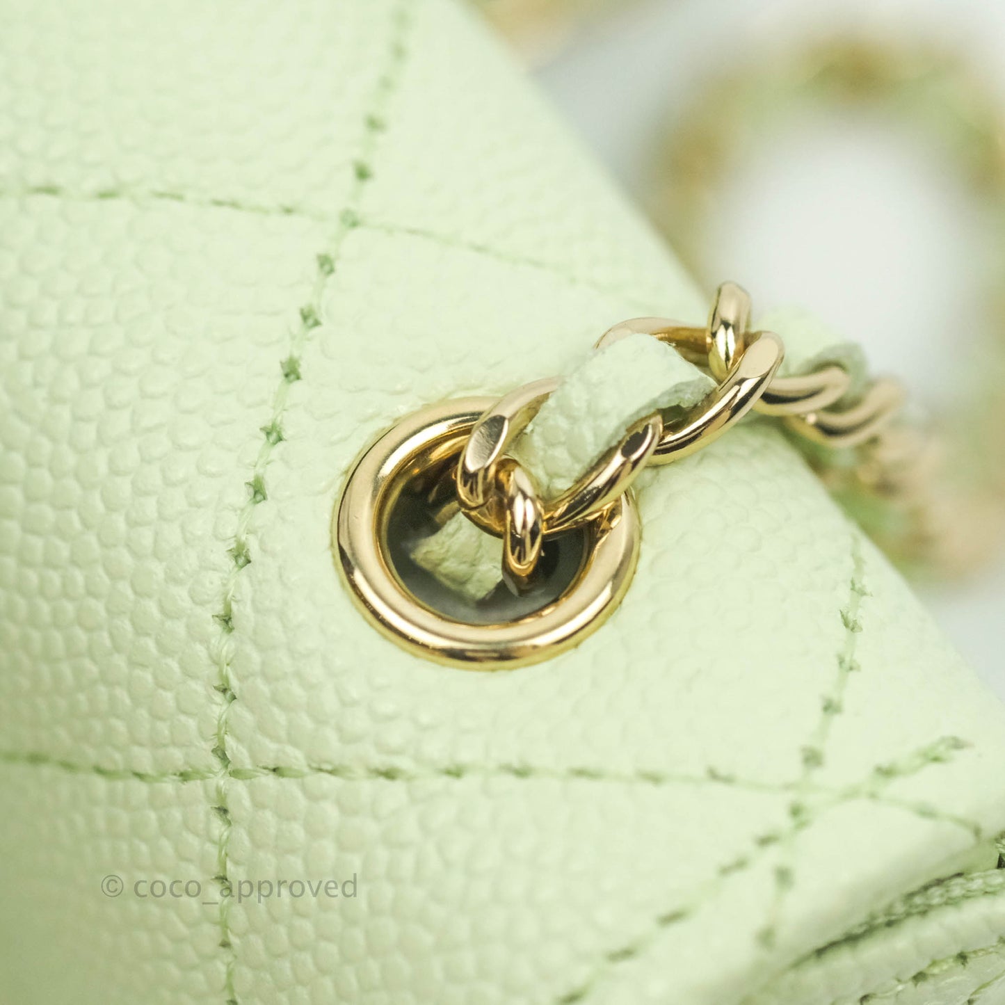 Chanel Mini Card Holder Chain Belt Bag Light Green Caviar Gold Hardware 21B