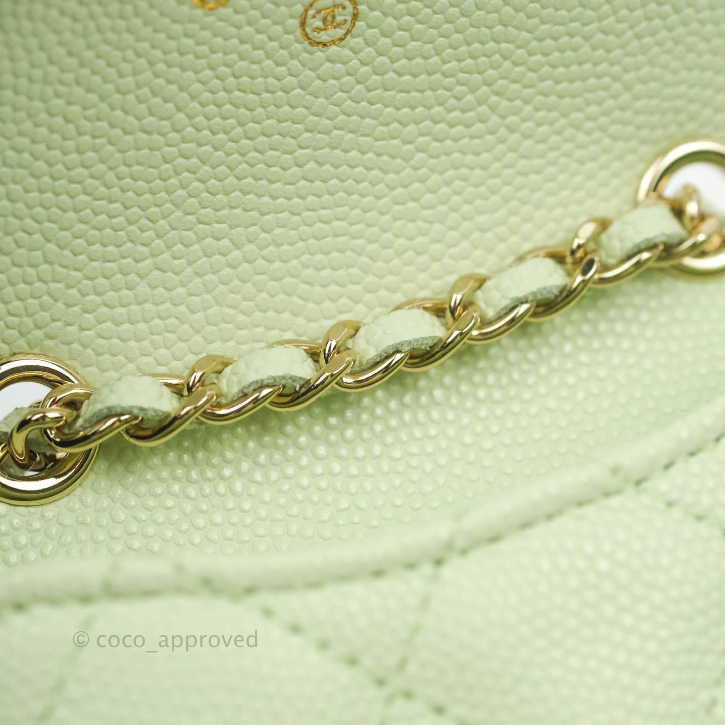 Chanel Mini Card Holder Chain Belt Bag Light Green Caviar Gold Hardware 21B