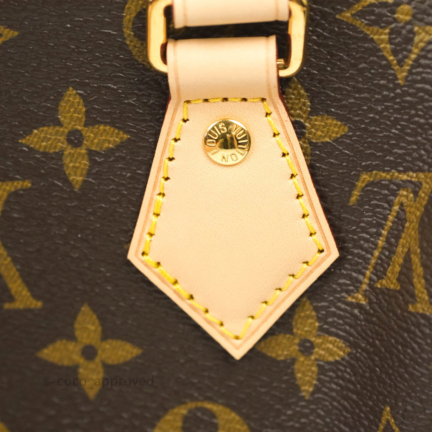 Louis Vuitton Speedy Bandoulière 20 Monogram