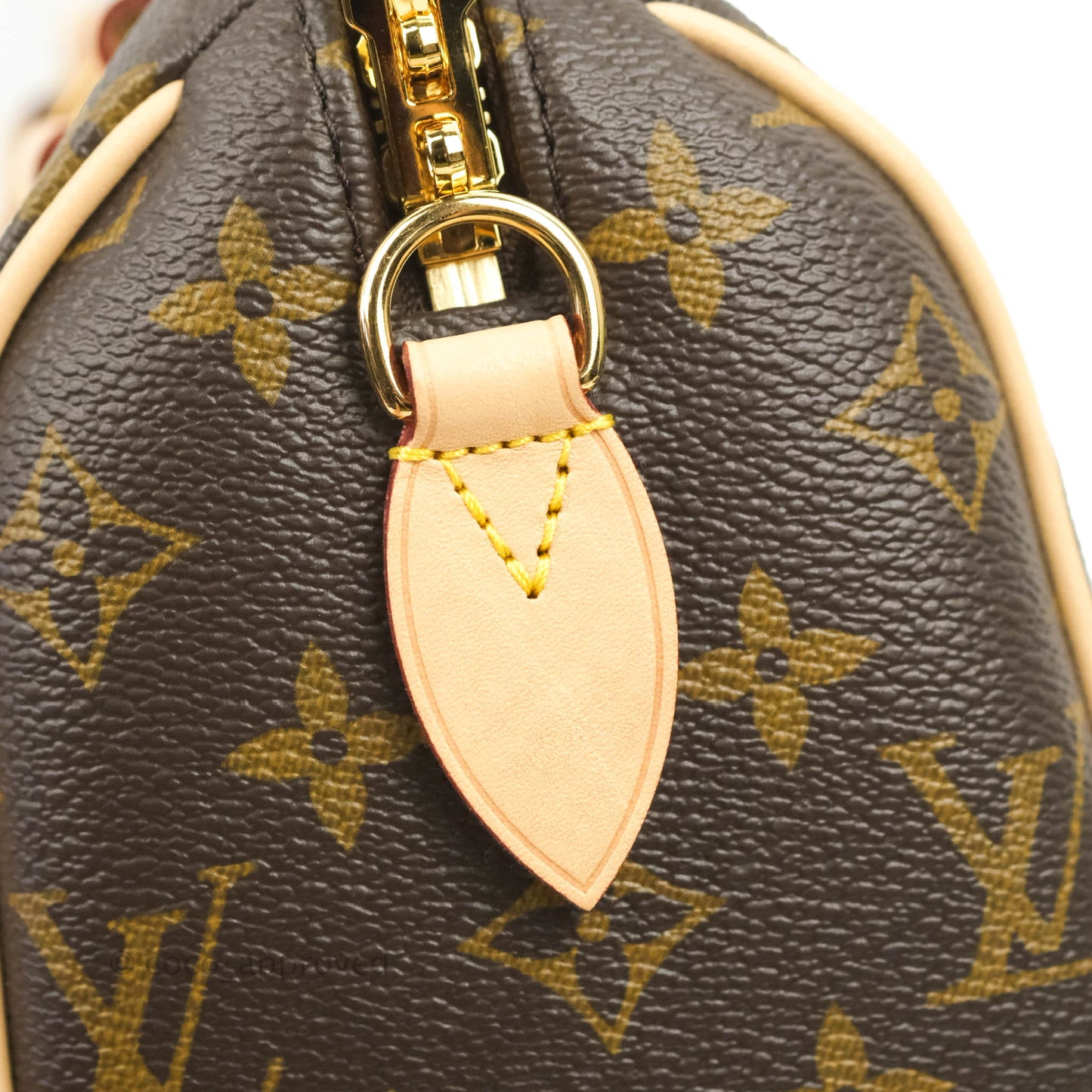 Louis Vuitton Speedy Bandoulière 20 Monogram