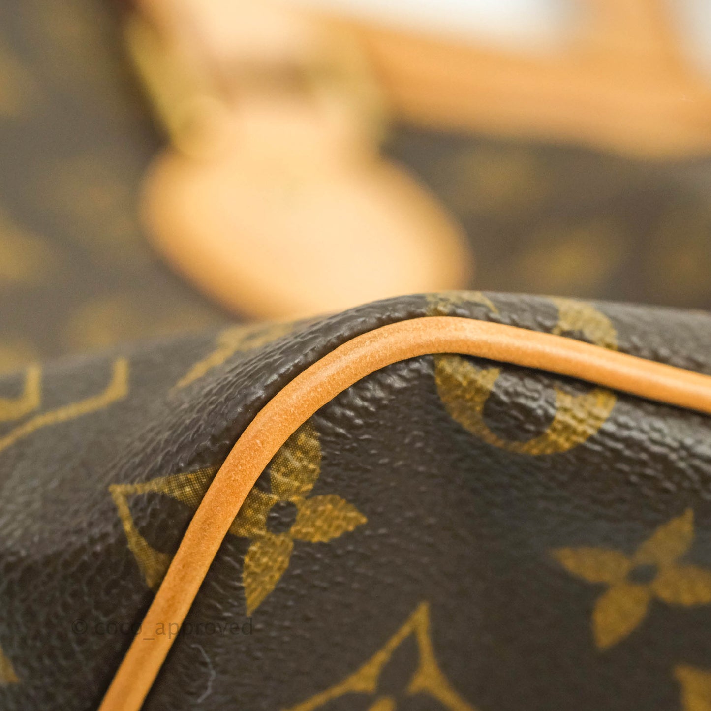 Louis Vuitton Monogram Palermo PM