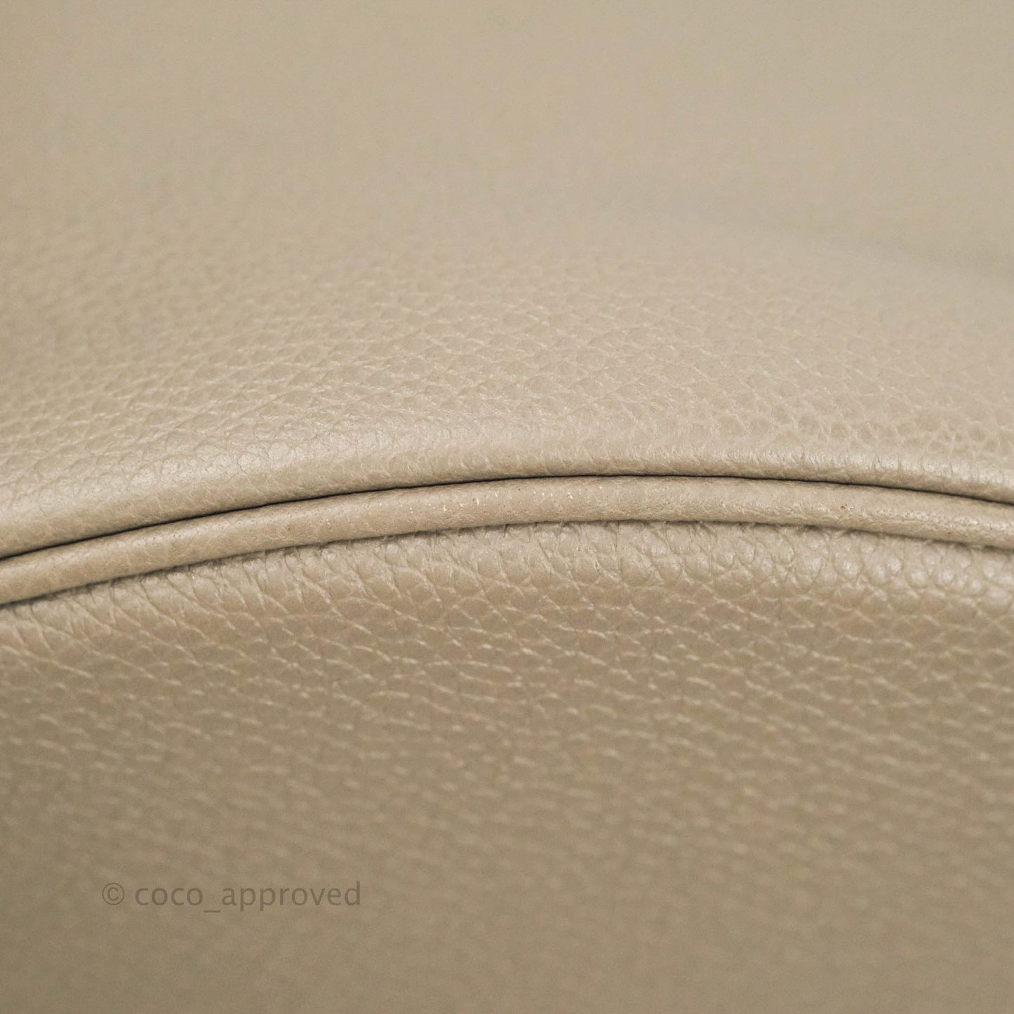 Celine Bucket 16 Bag in Supple Grained Calfskin Pebble Gold Hardware