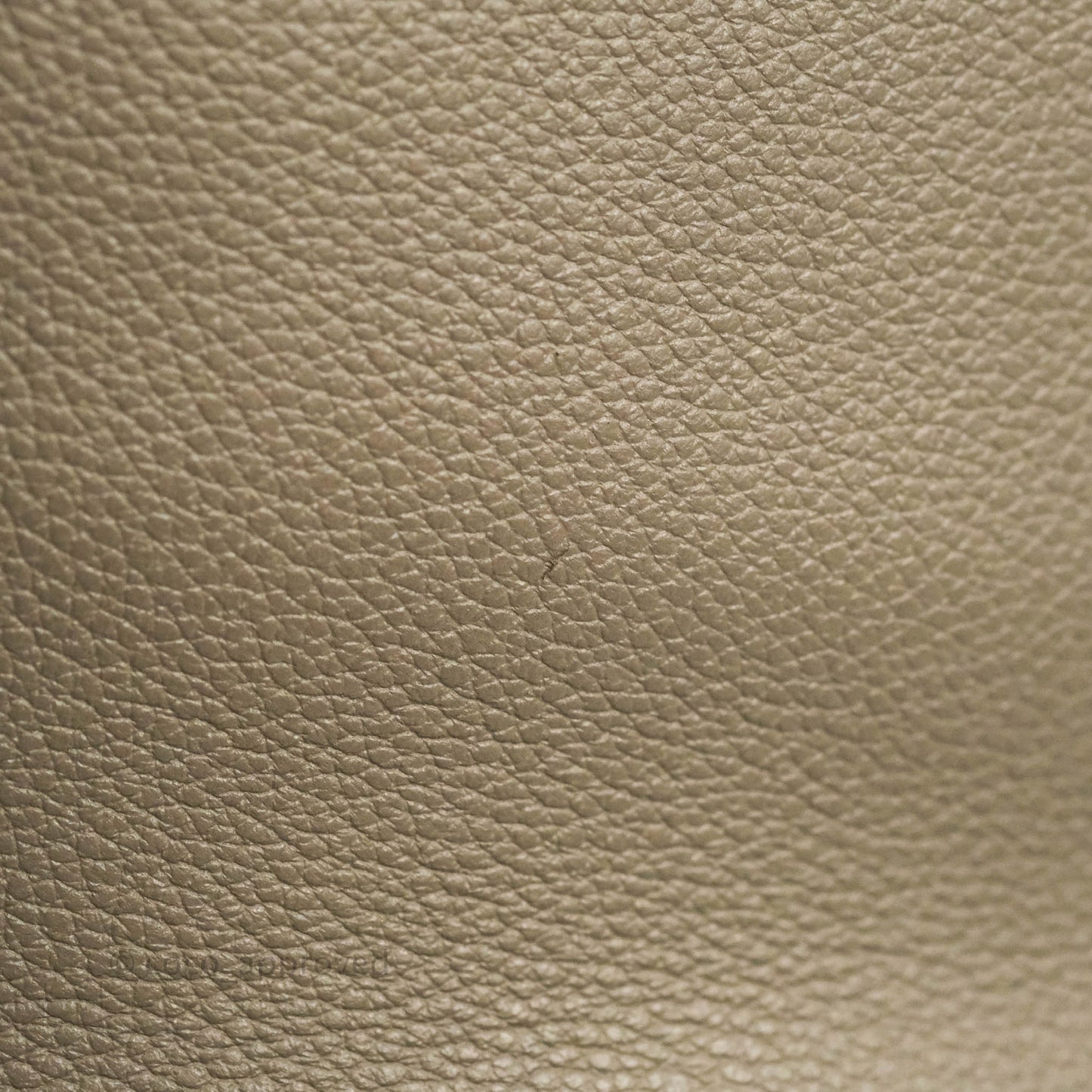 Celine Bucket 16 Bag in Supple Grained Calfskin Pebble Gold Hardware