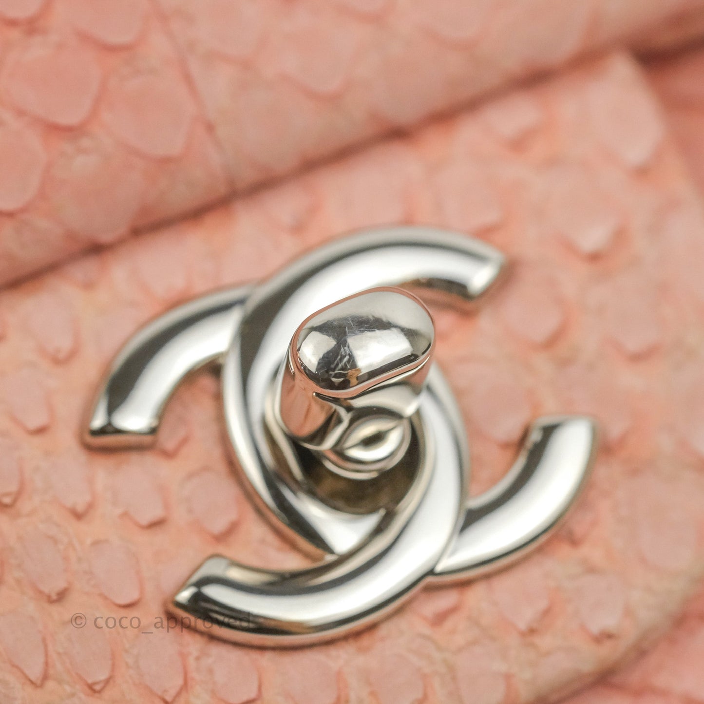 Chanel Classic M/L Medium Flap Quilted Pink Python Silver Hardware
