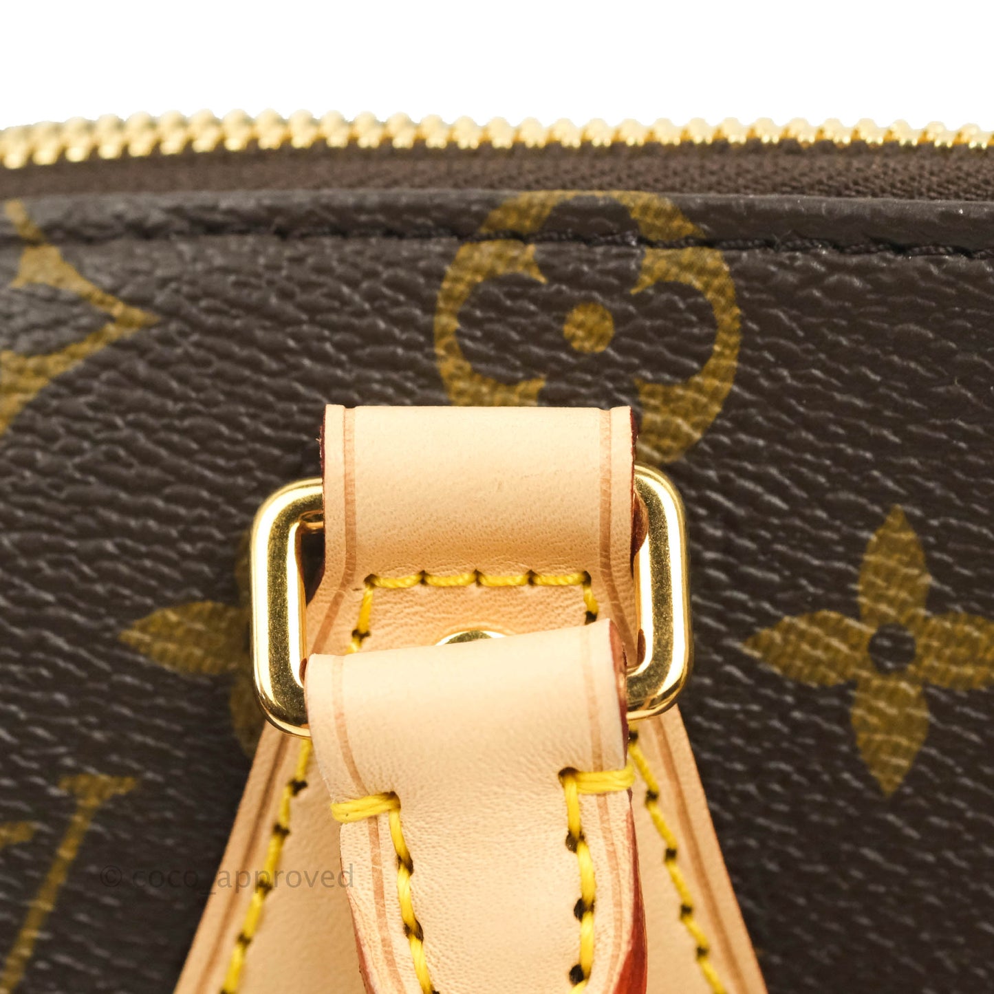 Louis Vuitton Speedy Bandoulière 20 Monogram
