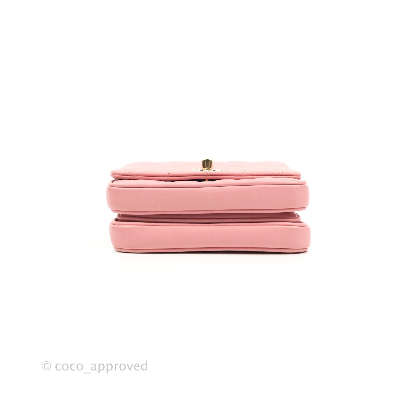 Chanel Citizen Chic Mini Flap Bag Pink Lambskin Gold Hardware