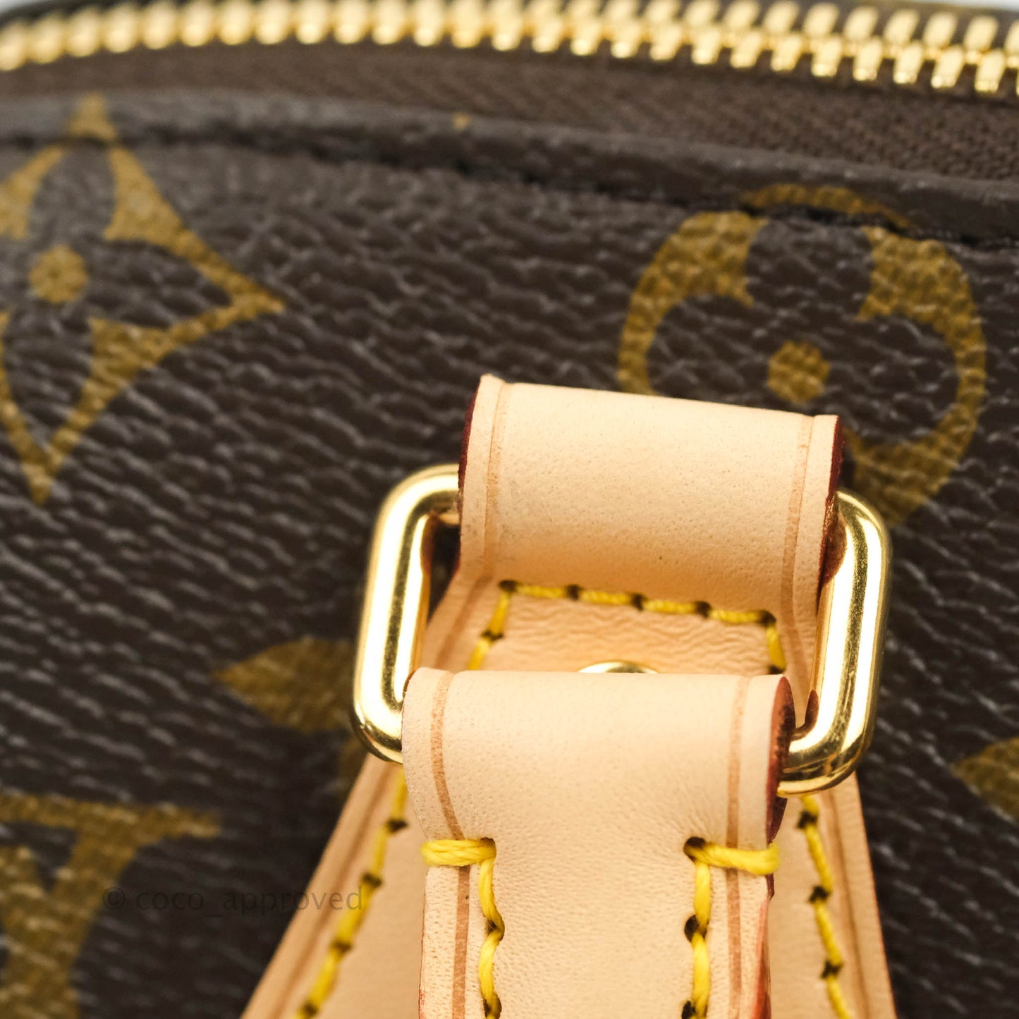 Louis Vuitton Speedy Bandoulière 20 Monogram