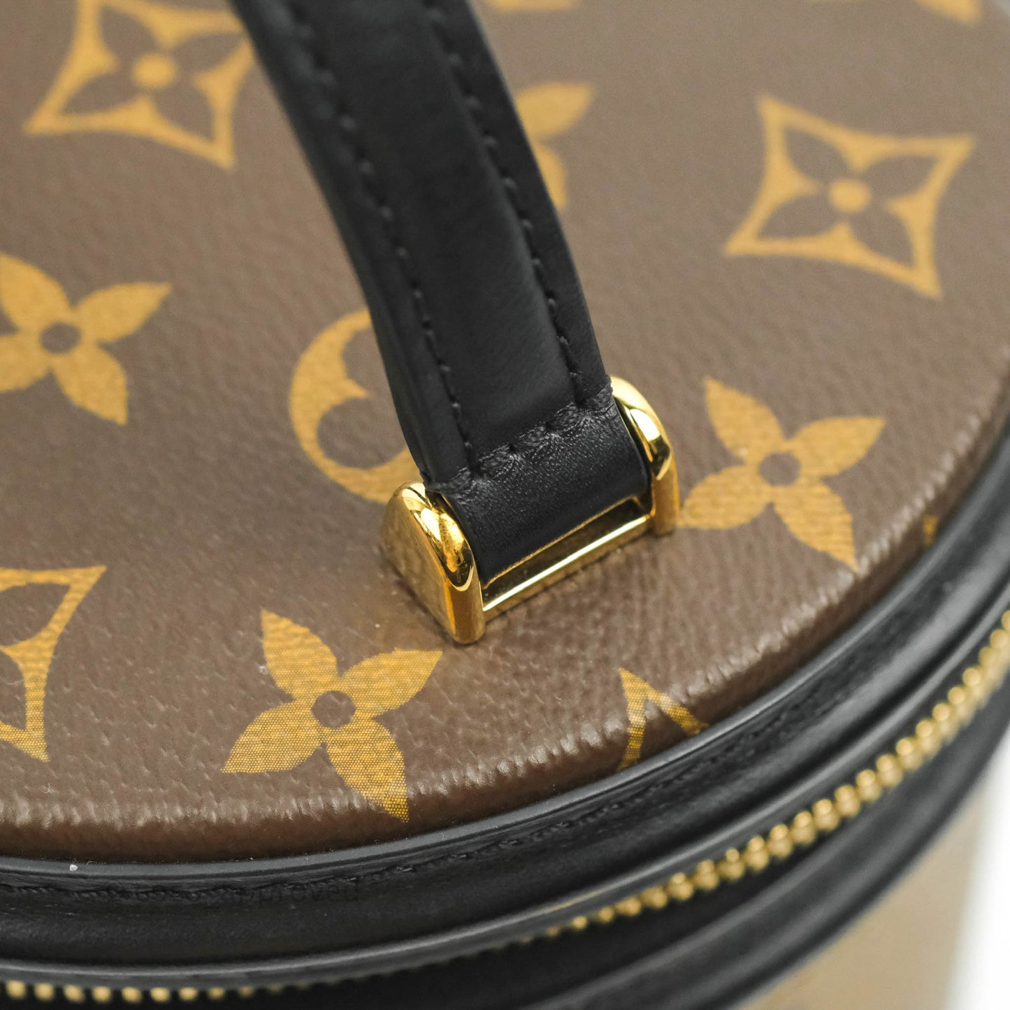 Louis Vuitton Monogram Canvas Reverse Cannes Bag