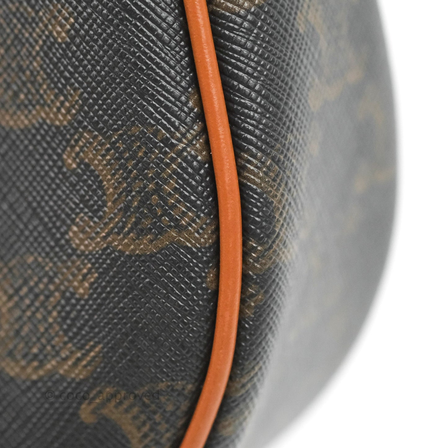 Celine Ava Bag In Triomphe Canvas Calfskin Tan